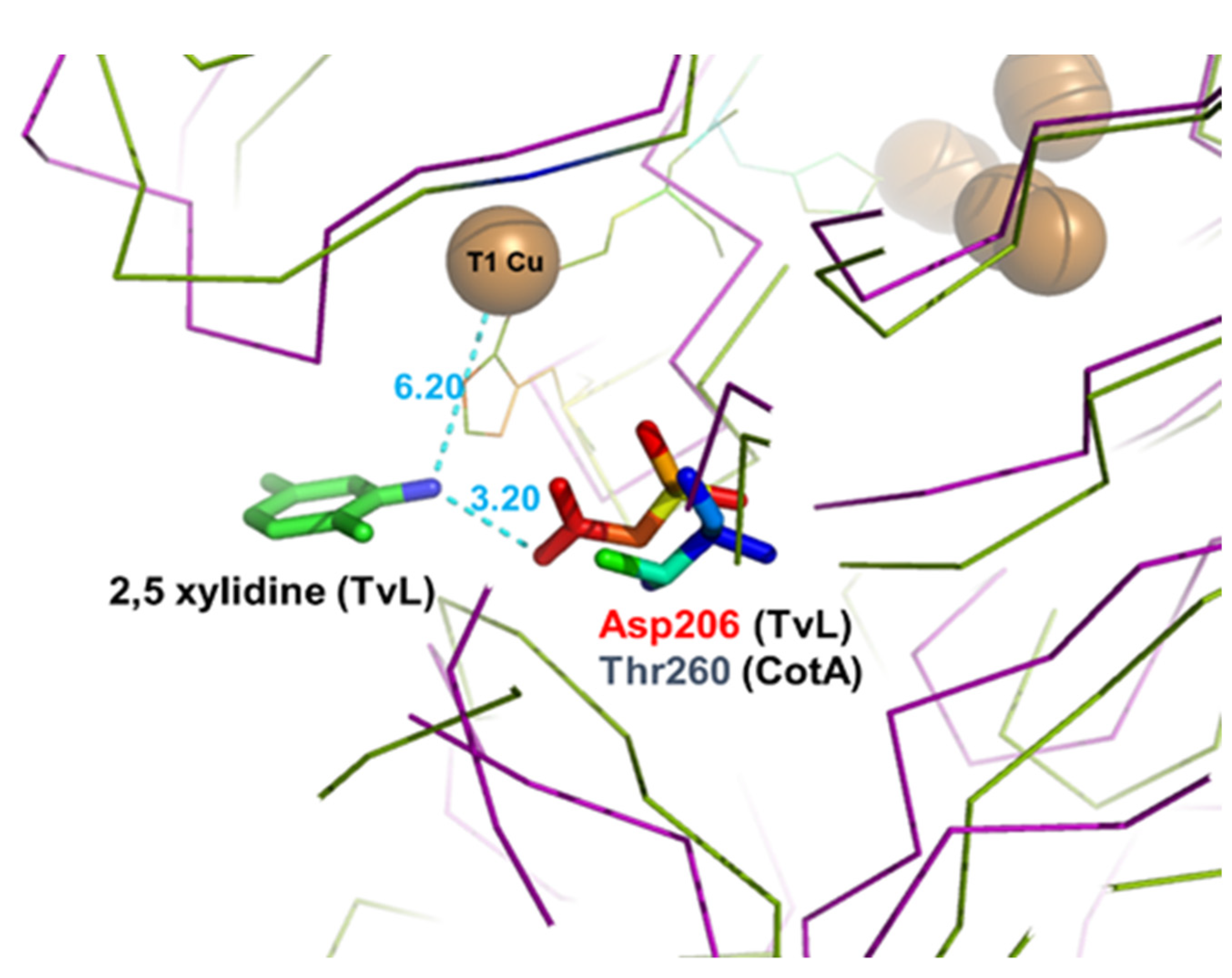 Molecules 26 03719 g002 Molecules 26 03719 g002