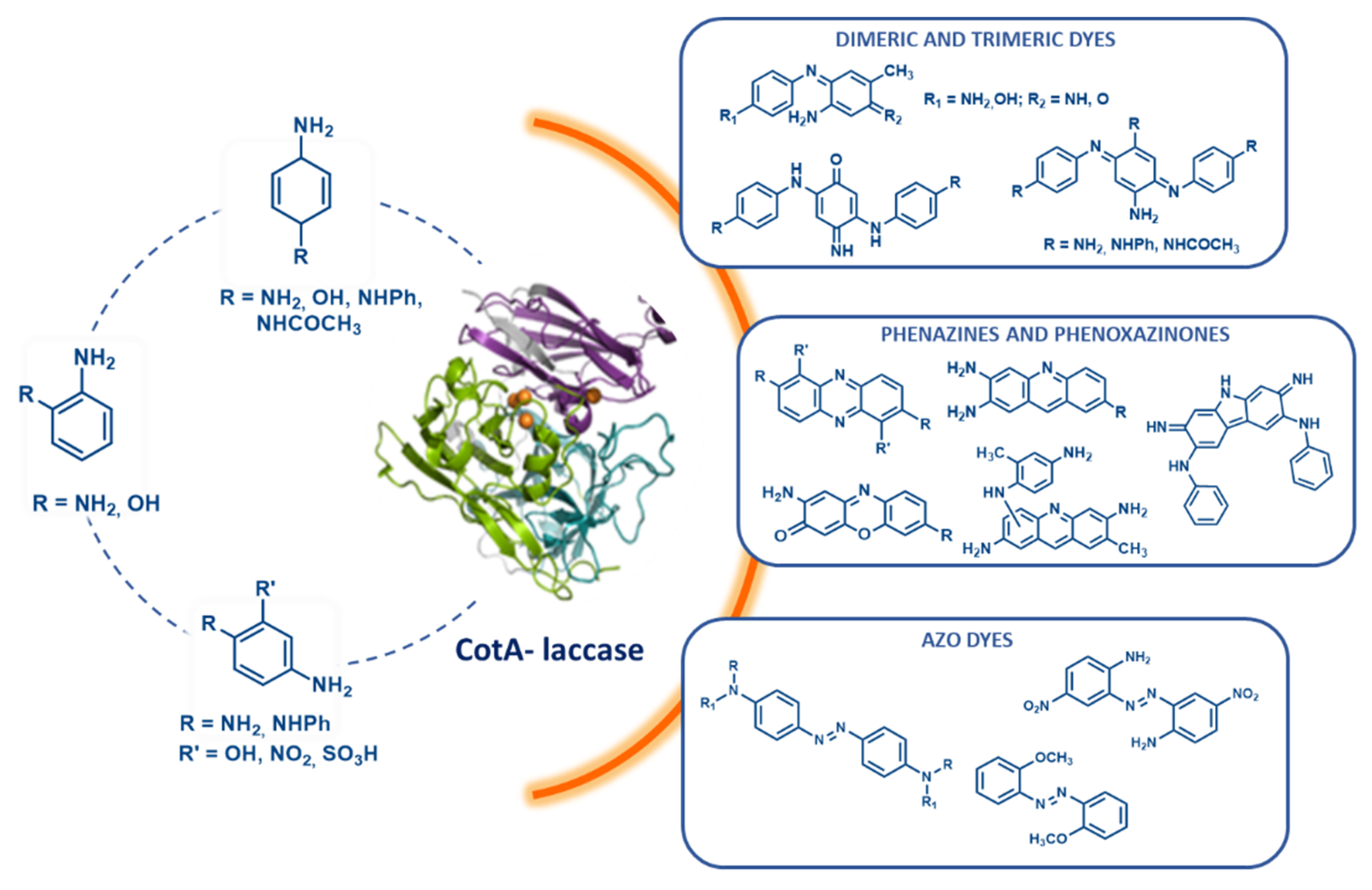 Molecules 26 03719 g003 Molecules 26 03719 g003