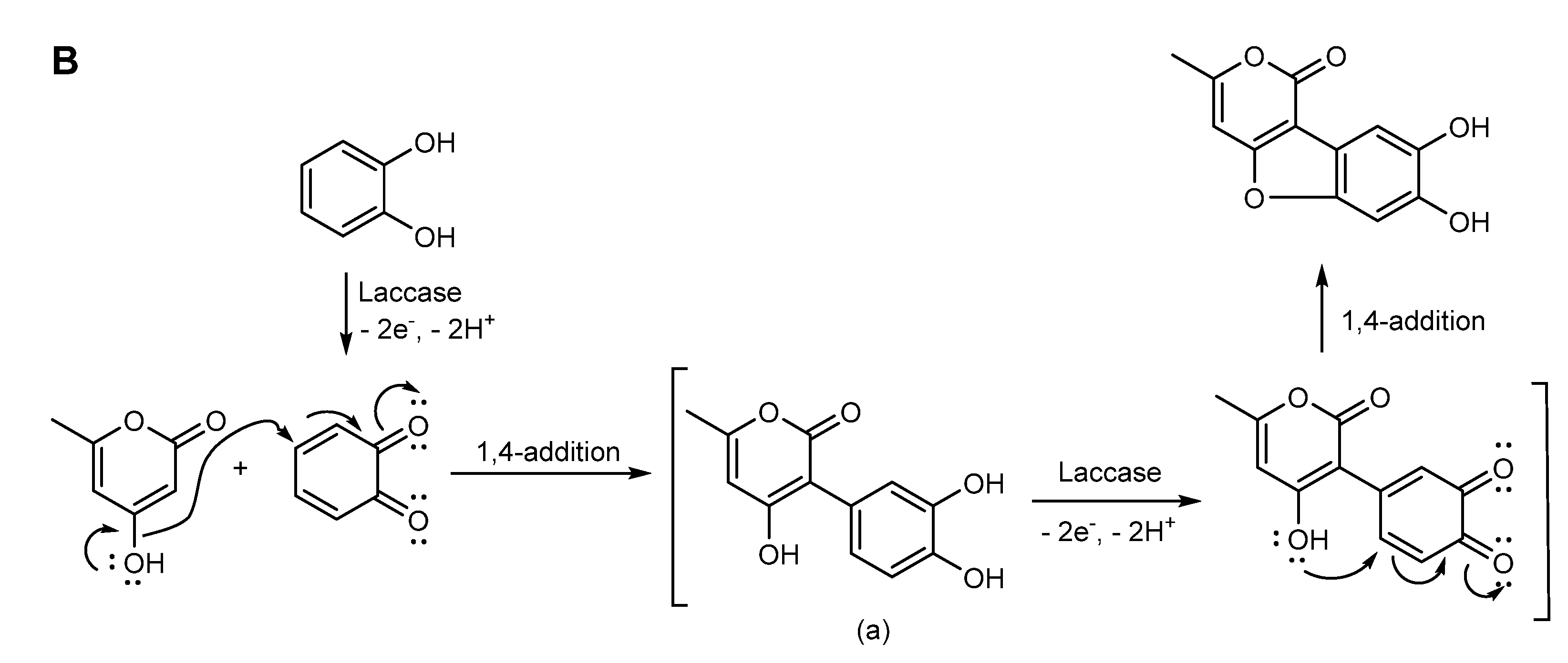 Molecules 26 03719 sch002b Molecules 26 03719 sch002b