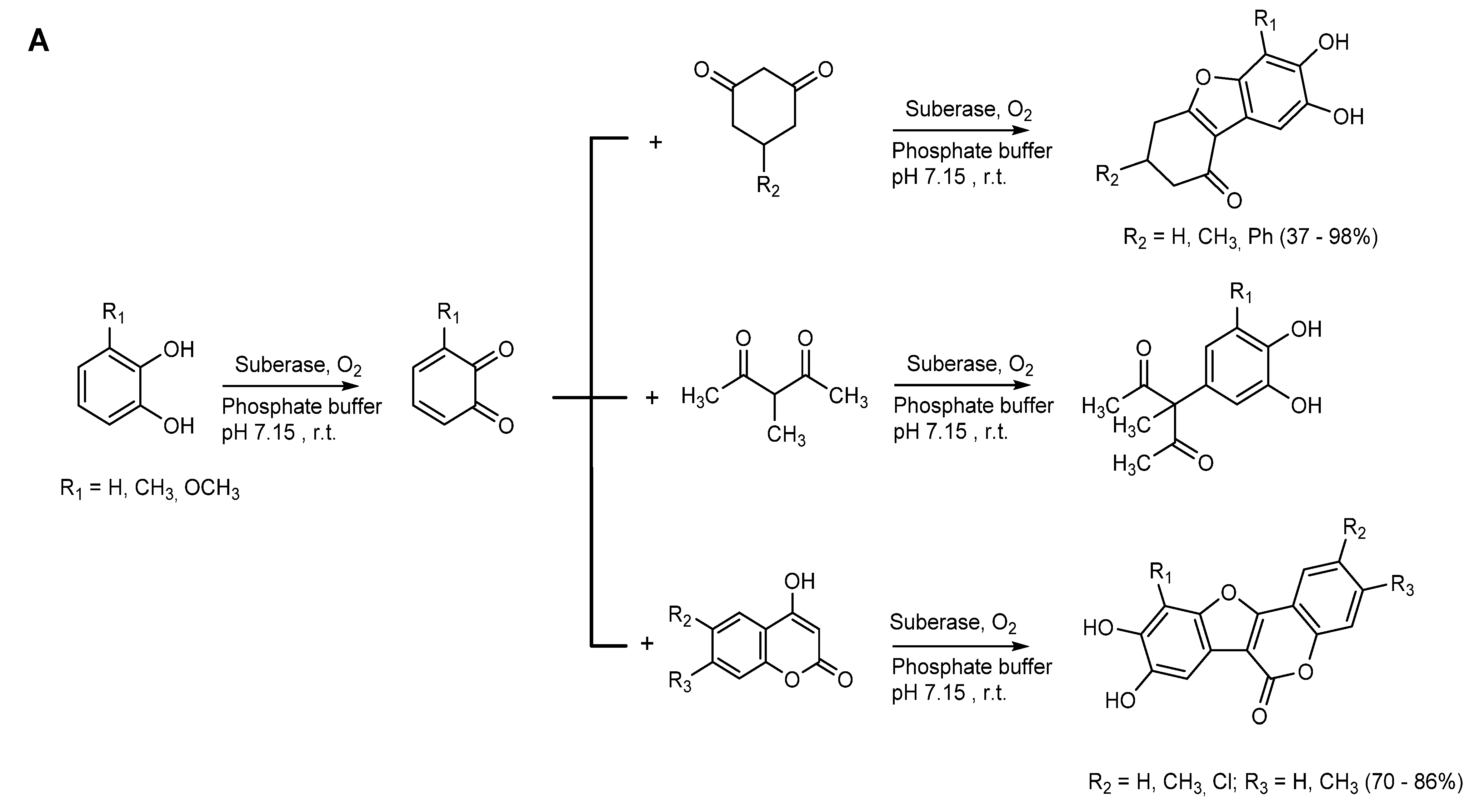 Molecules 26 03719 sch003a Molecules 26 03719 sch003a