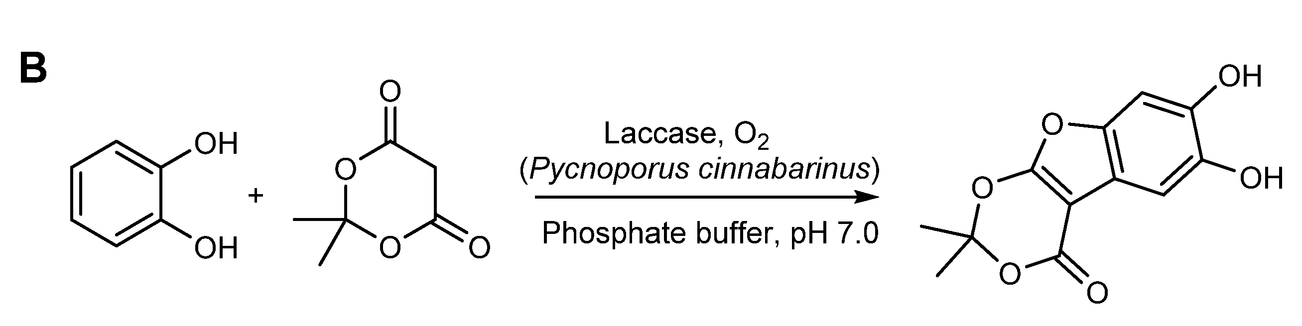 Molecules 26 03719 sch003b Molecules 26 03719 sch003b