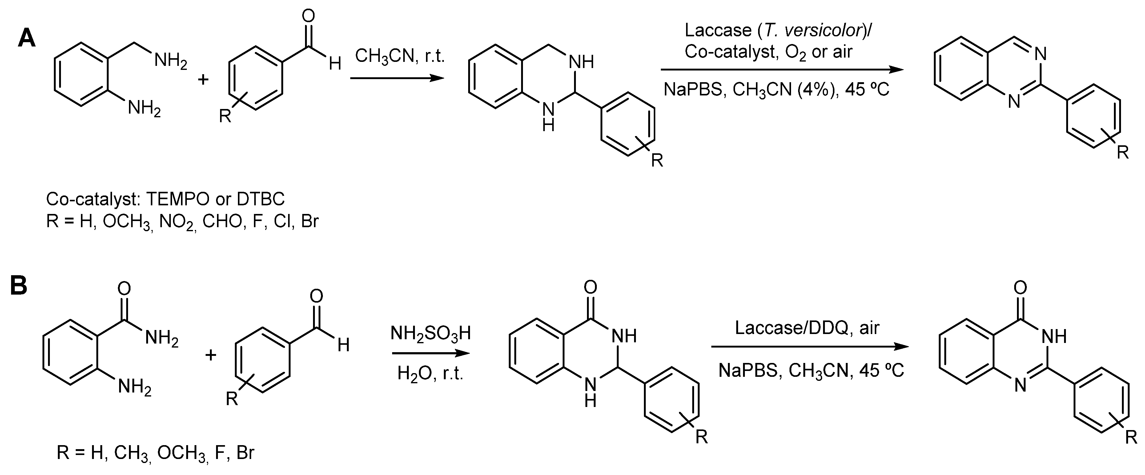 Molecules 26 03719 sch008 Molecules 26 03719 sch008