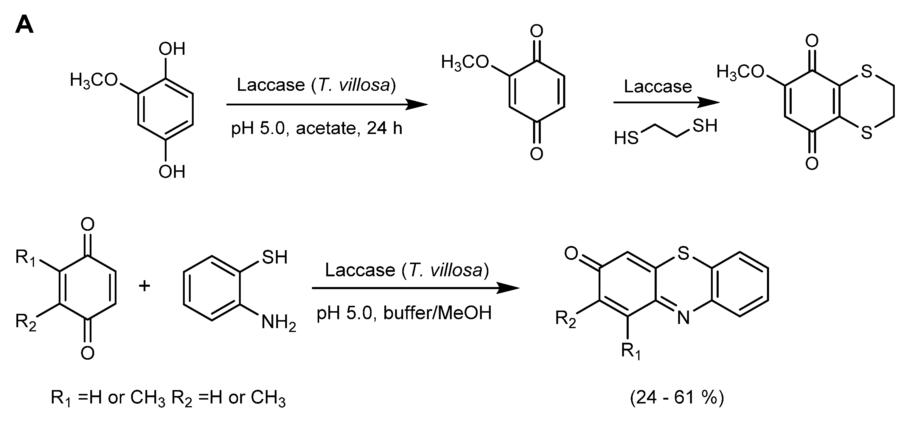 Molecules 26 03719 sch016a Molecules 26 03719 sch016a