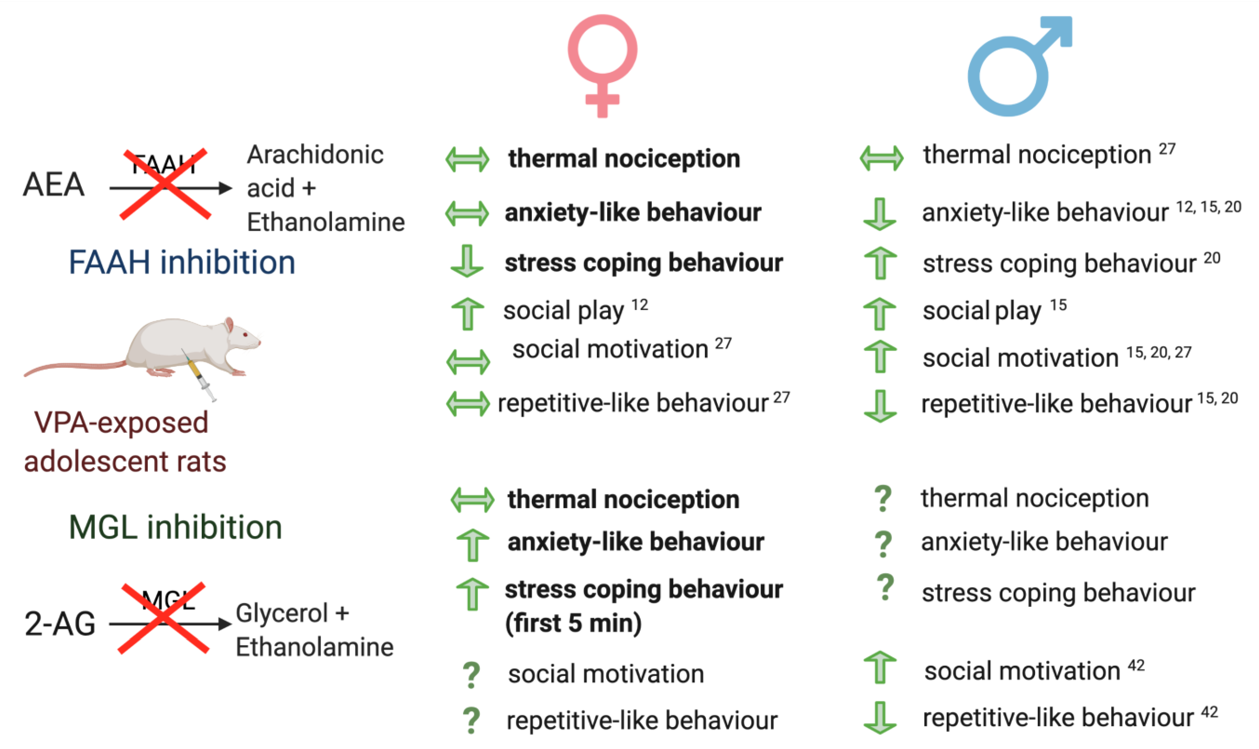Molecules 26 03720 g004 Molecules 26 03720 g004