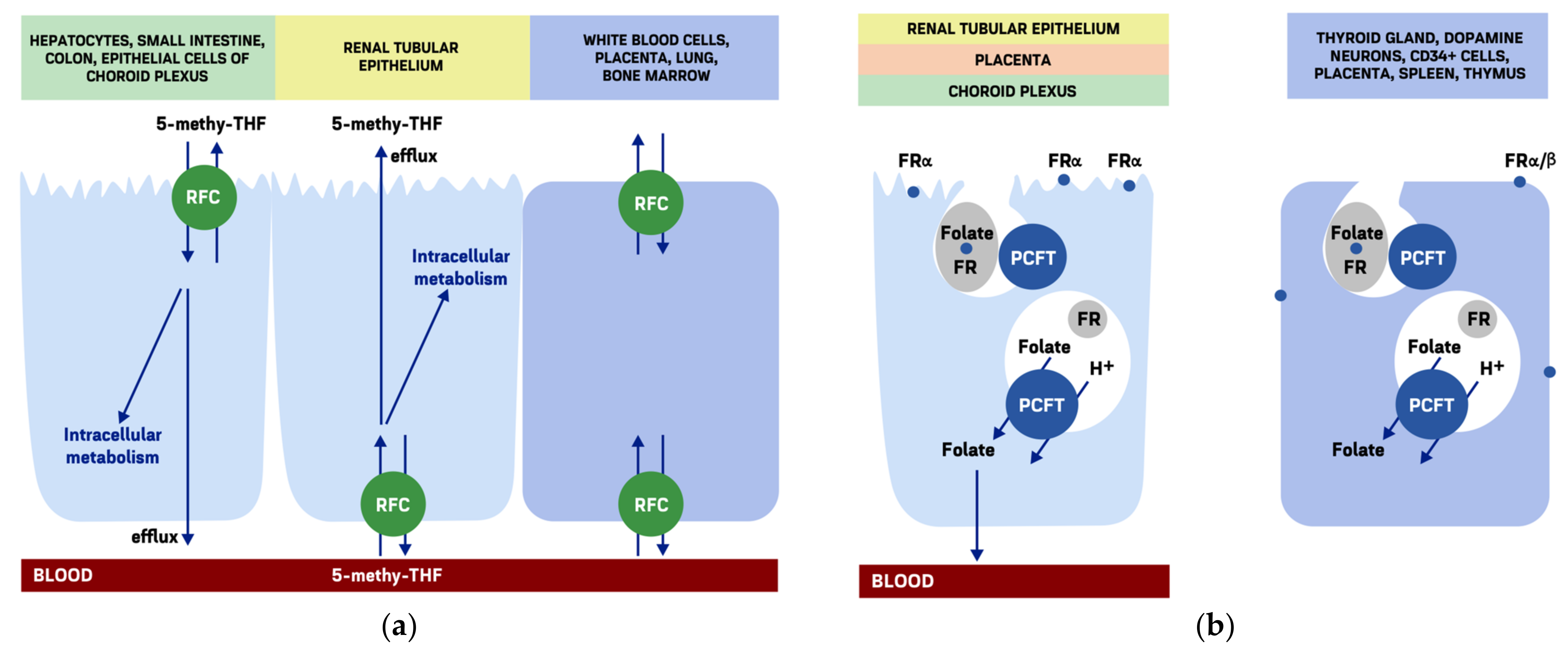 Molecules 26 03731 g002a