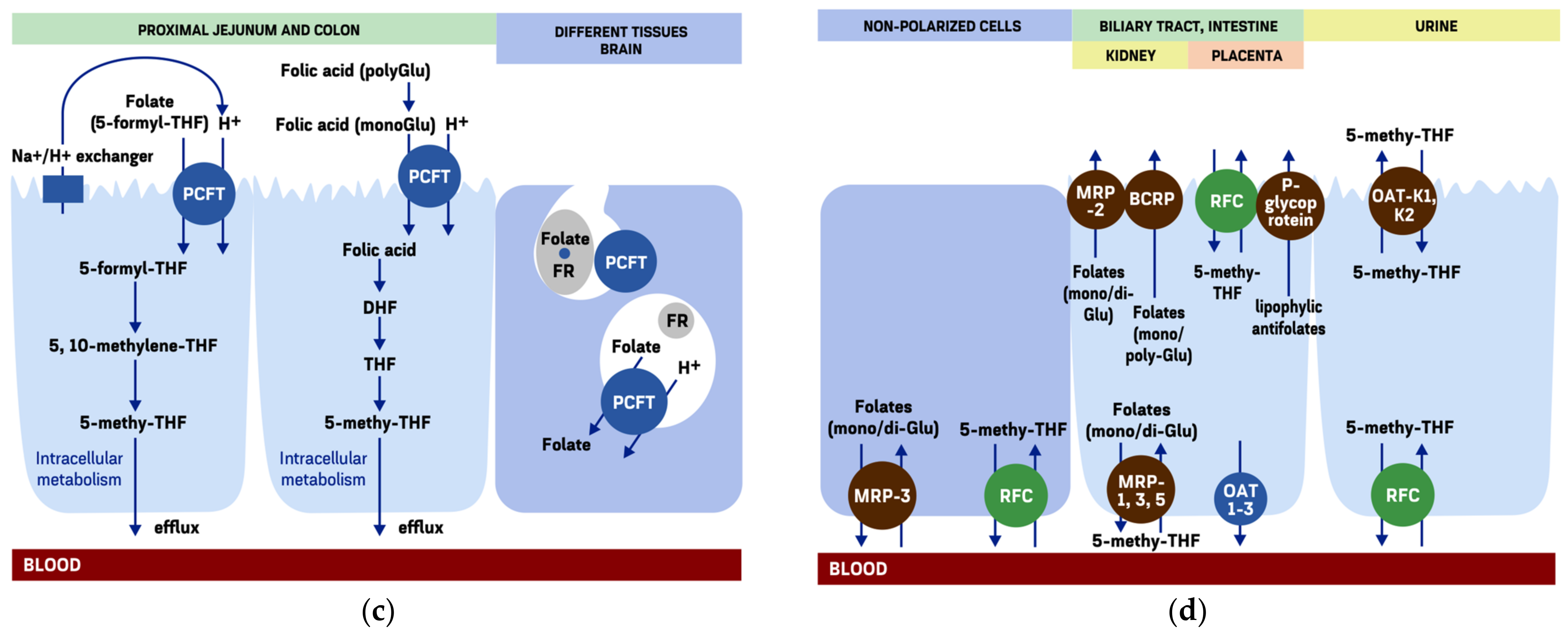 Molecules 26 03731 g002b