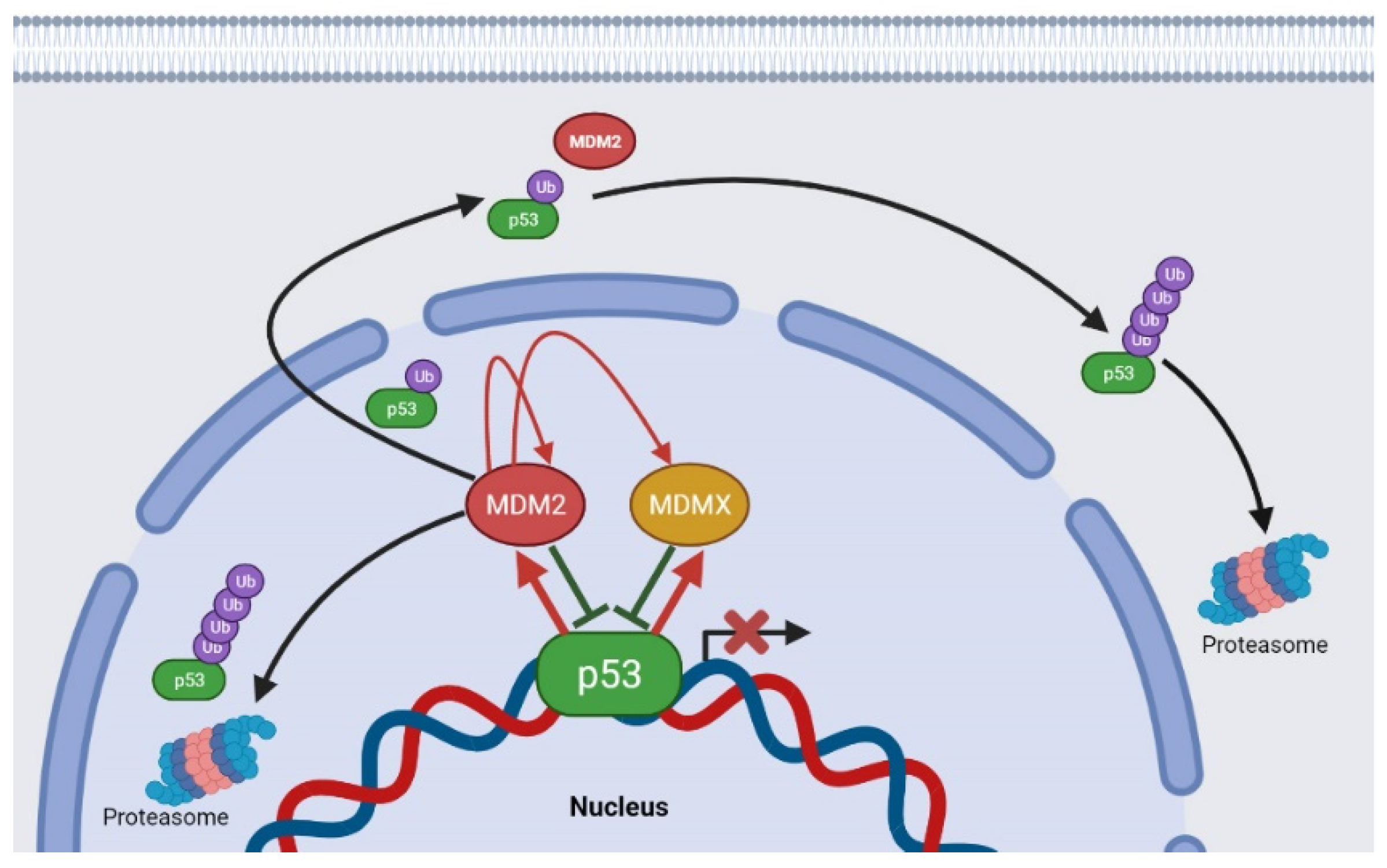 Molecules 26 03737 g002
