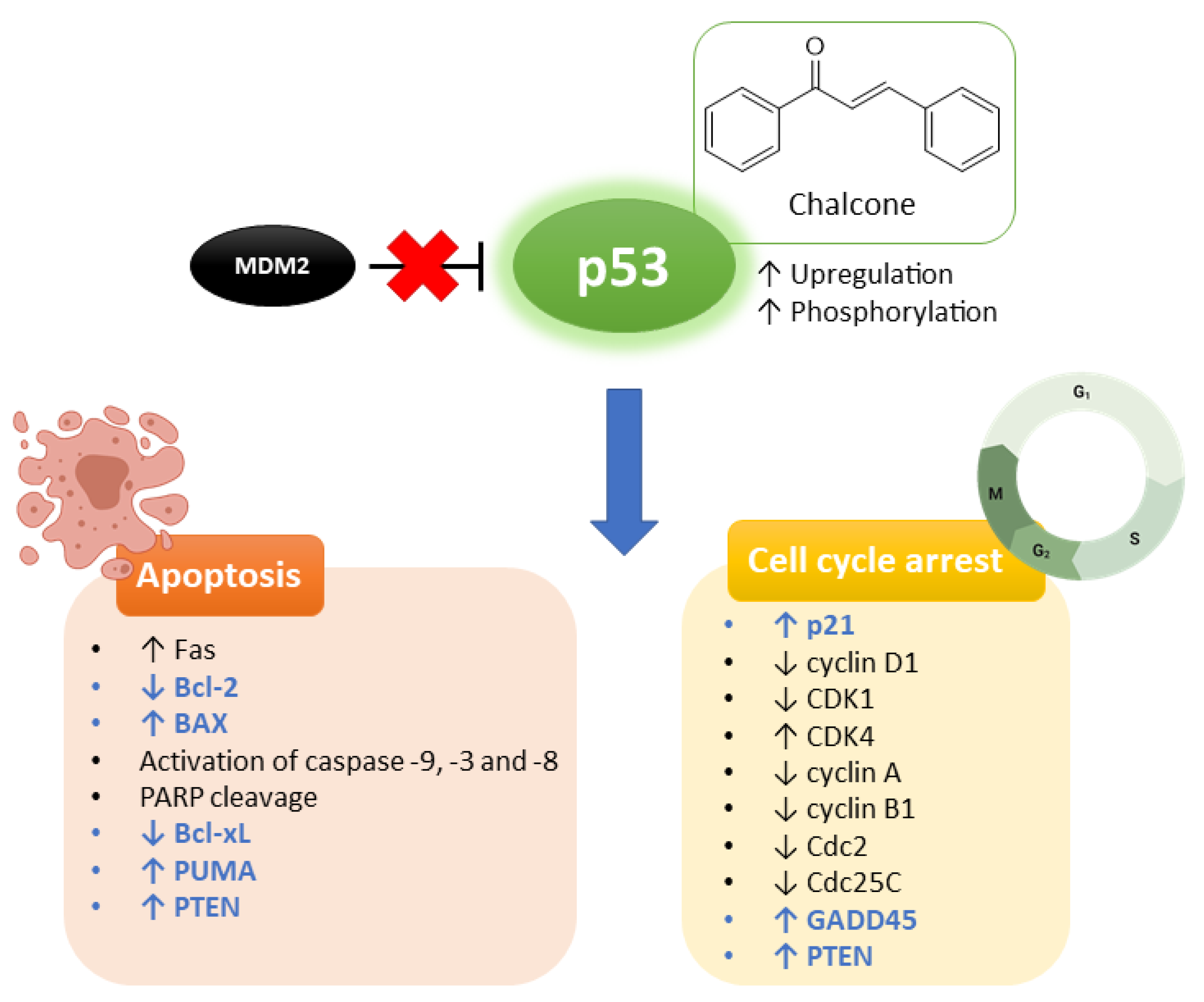 Molecules 26 03737 g009