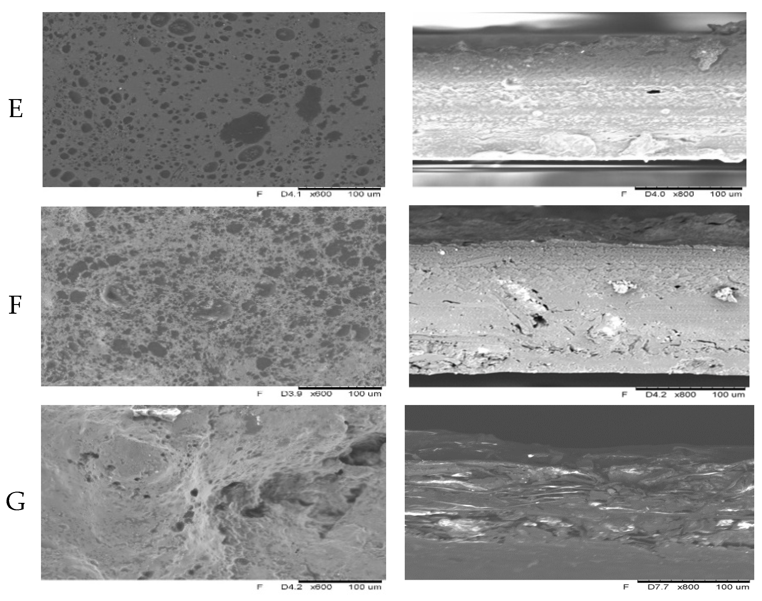 Molecules 26 03738 g003b Molecules 26 03738 g003b