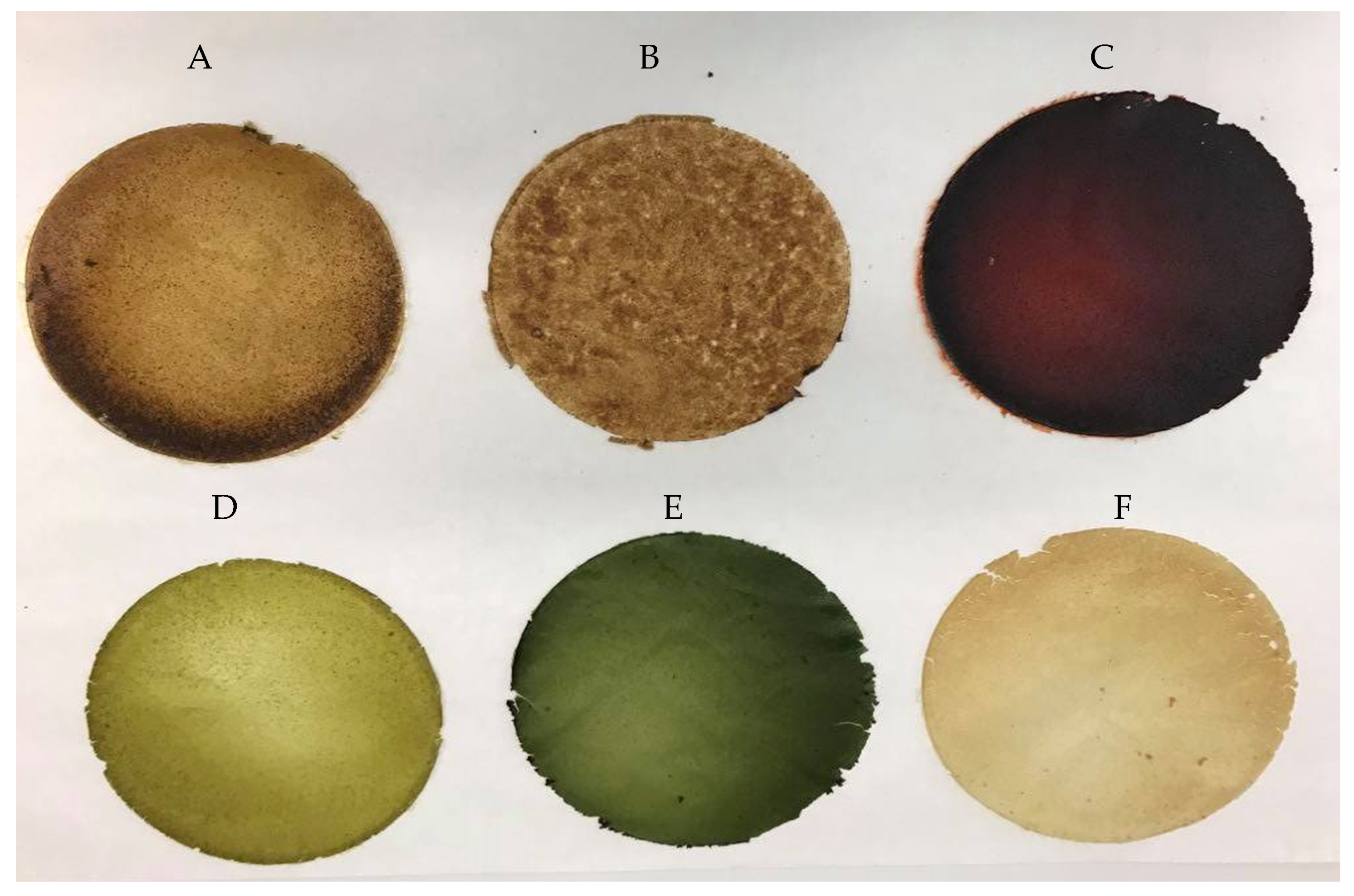 Molecules 26 03738 g006 Molecules 26 03738 g006
