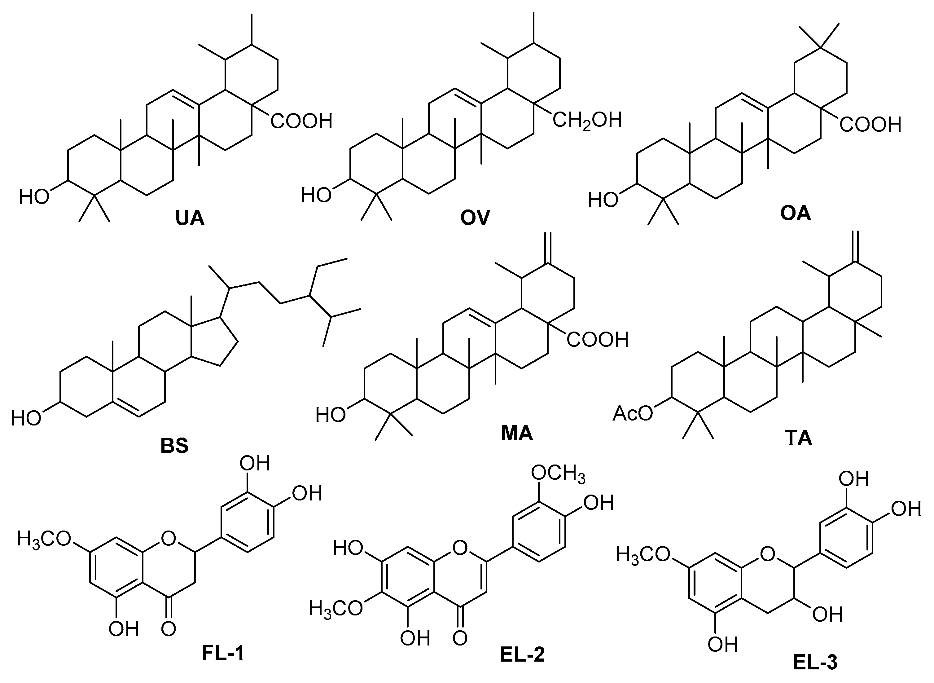 Molecules 26 03740 g003