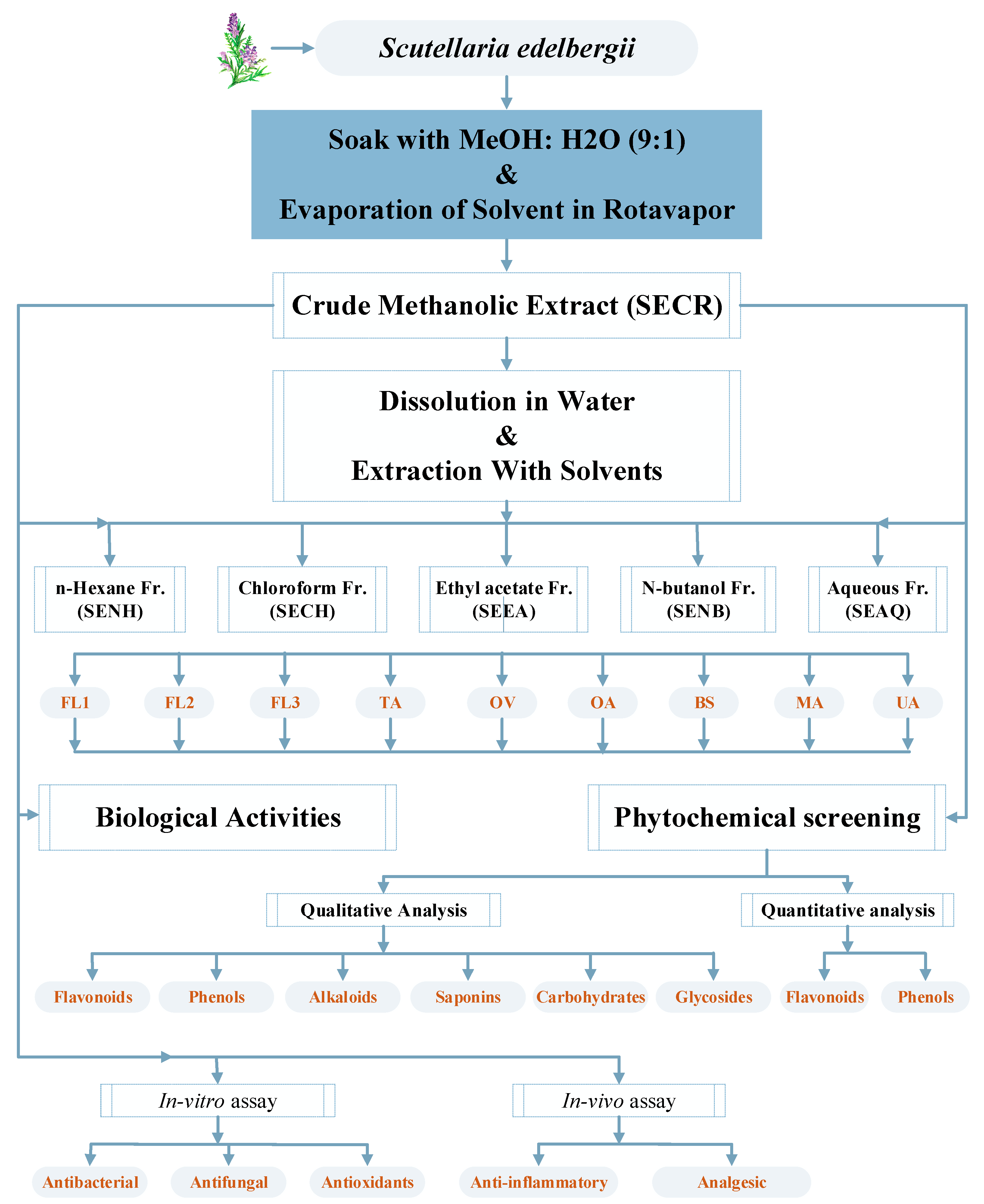 Molecules 26 03740 g004