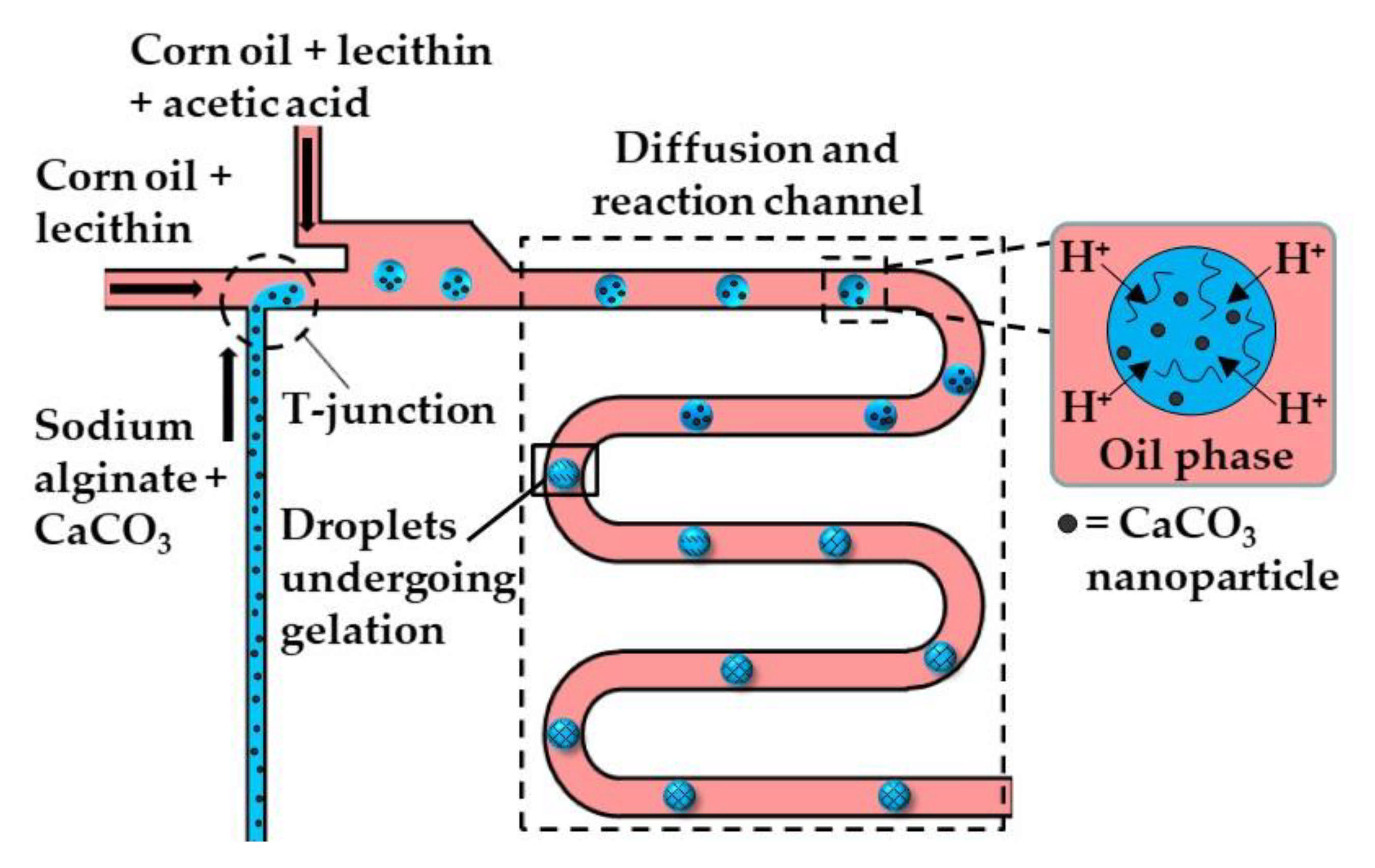 Molecules 26 03752 g002 Molecules 26 03752 g002