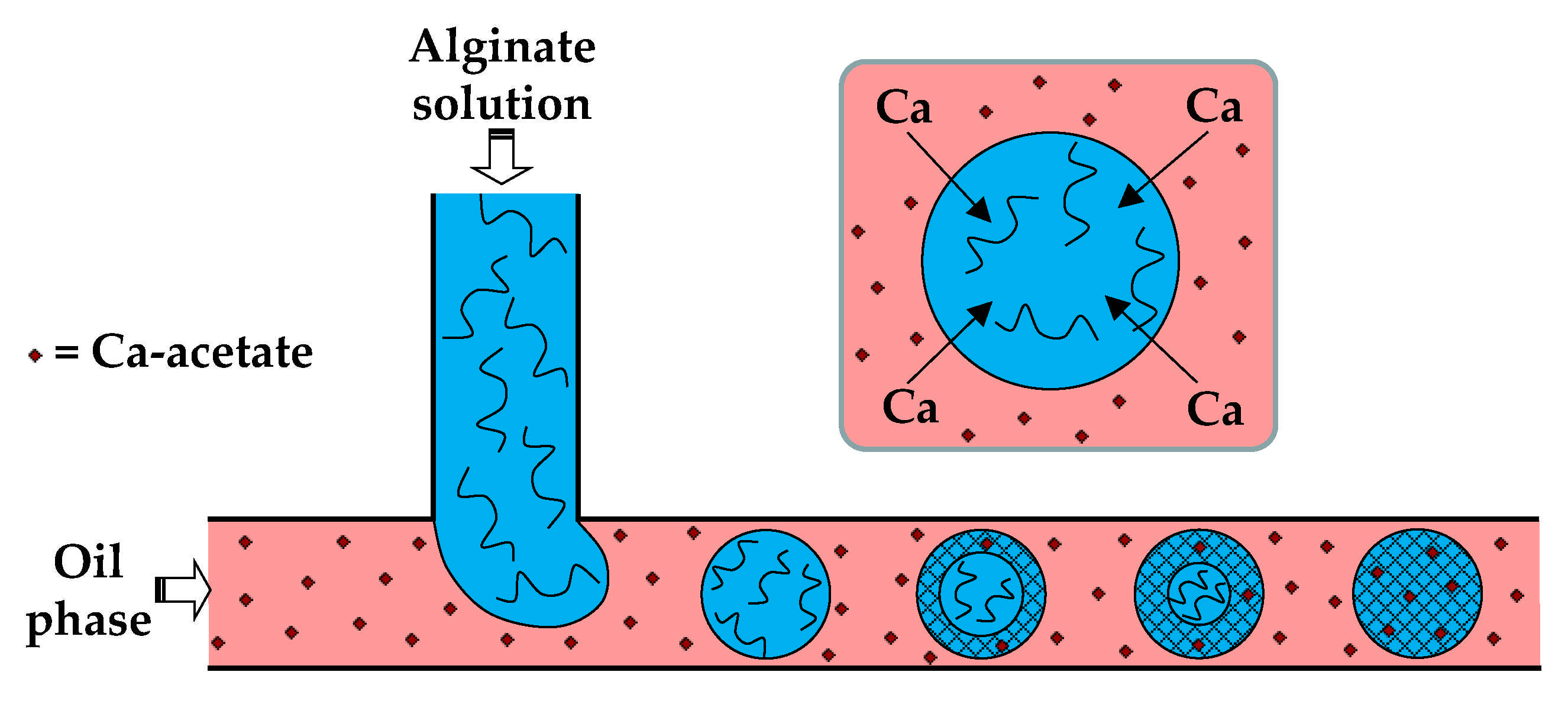 Molecules 26 03752 g004 Molecules 26 03752 g004