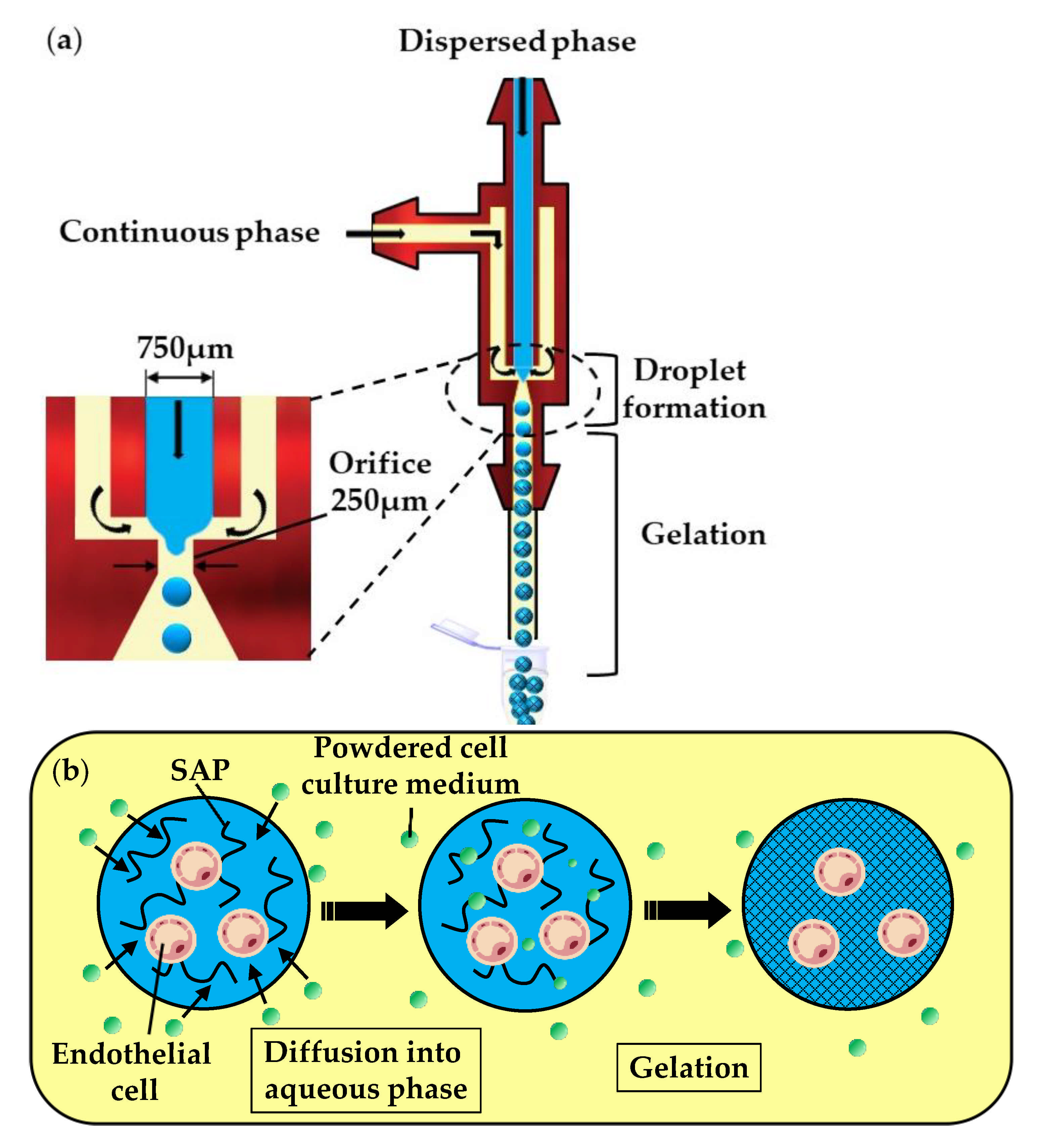 Molecules 26 03752 g010 Molecules 26 03752 g010