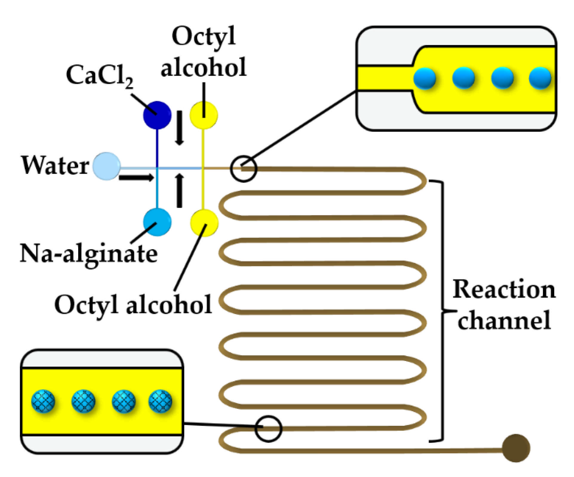 Molecules 26 03752 g012 Molecules 26 03752 g012