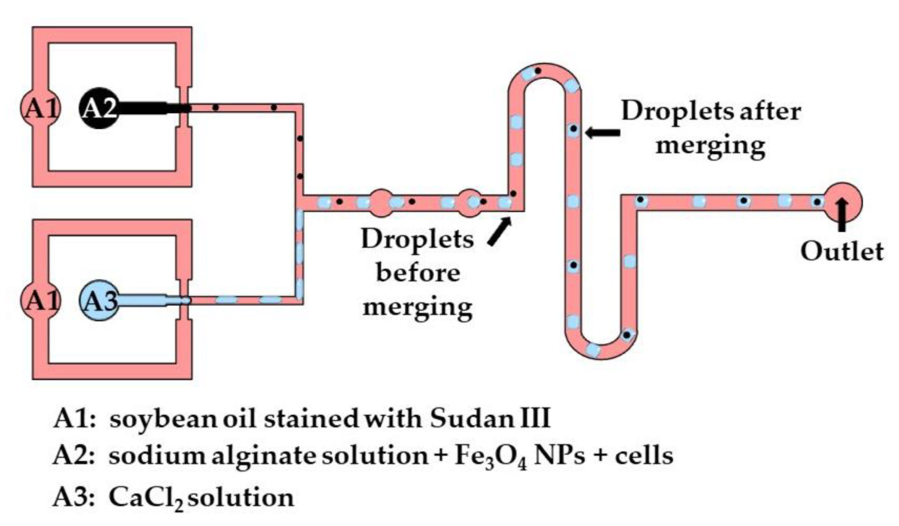 Molecules 26 03752 g016 Molecules 26 03752 g016