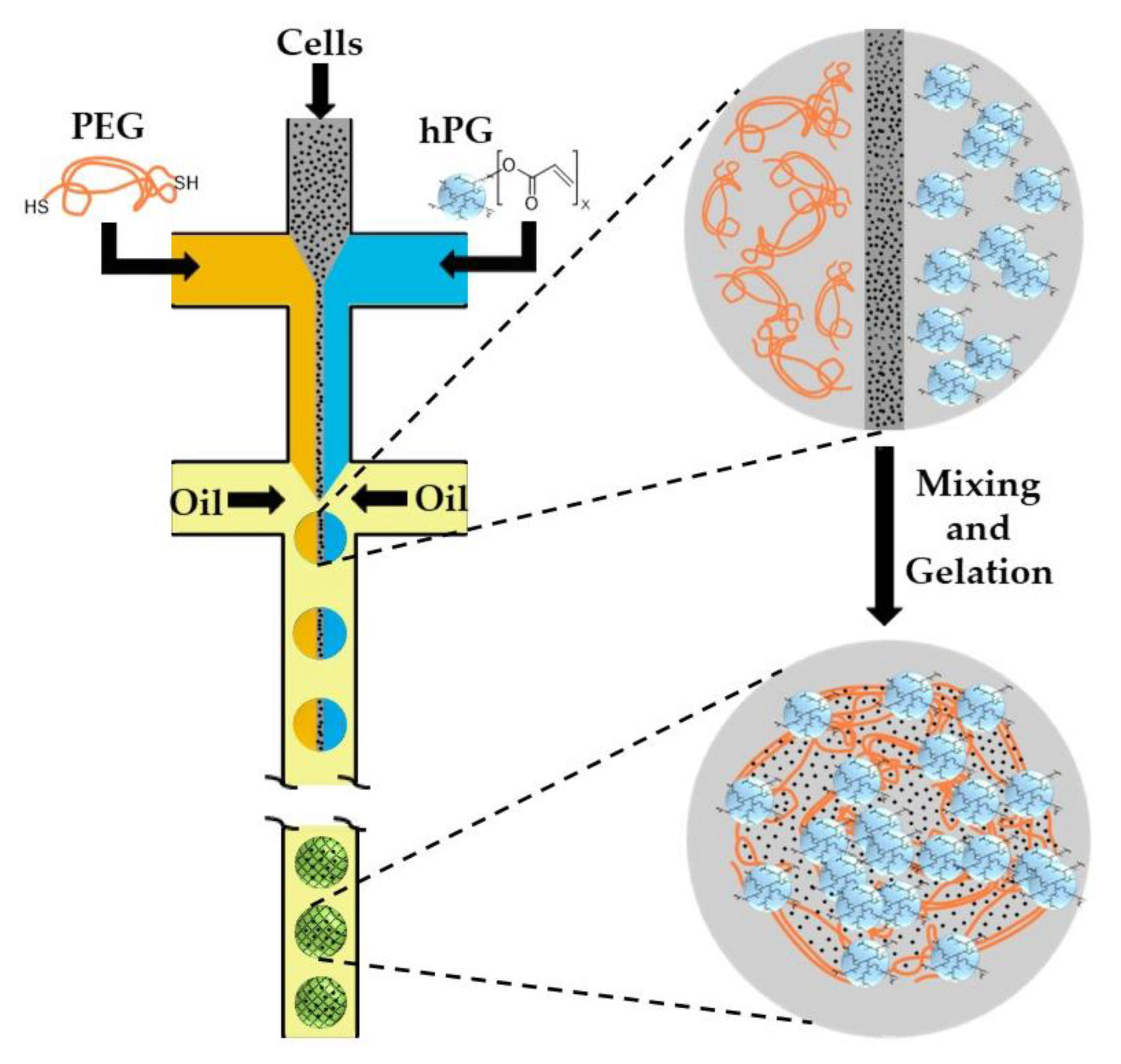 Molecules 26 03752 g020 Molecules 26 03752 g020