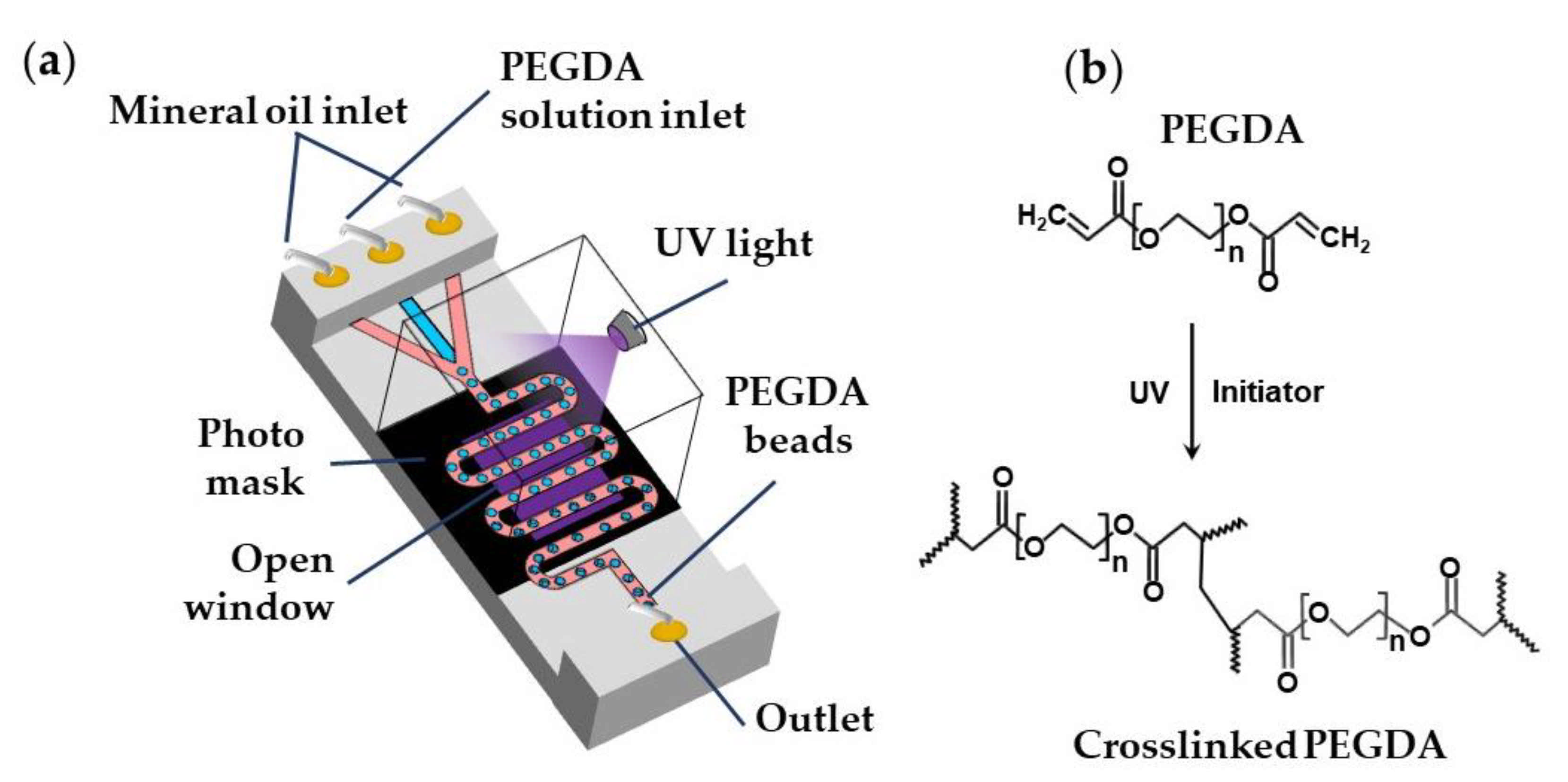 Molecules 26 03752 g024 Molecules 26 03752 g024