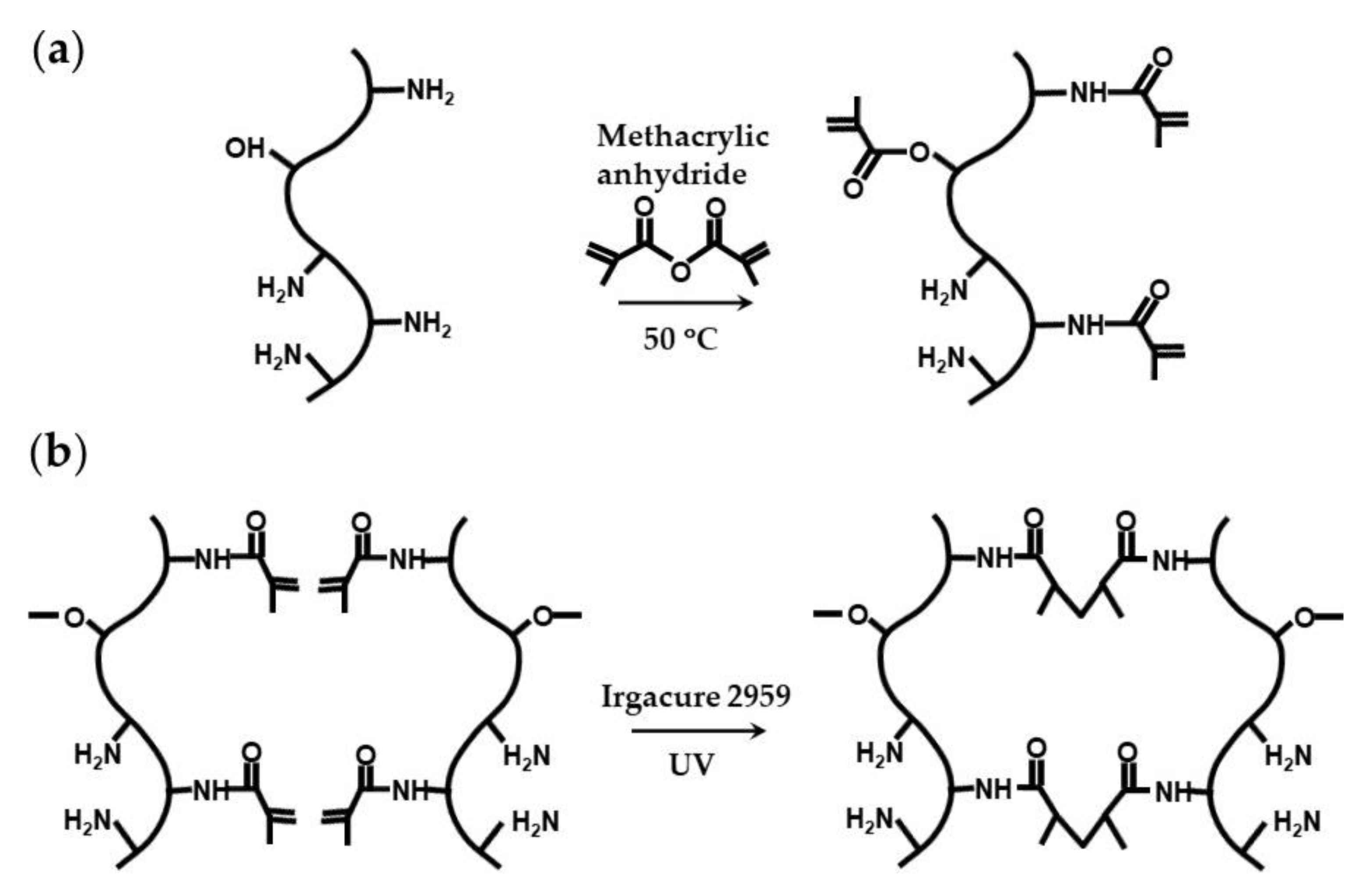 Molecules 26 03752 g025 Molecules 26 03752 g025
