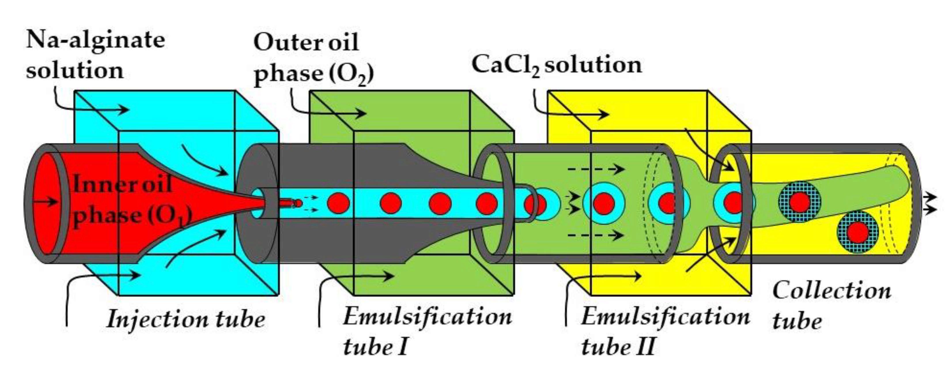 Molecules 26 03752 g027 Molecules 26 03752 g027