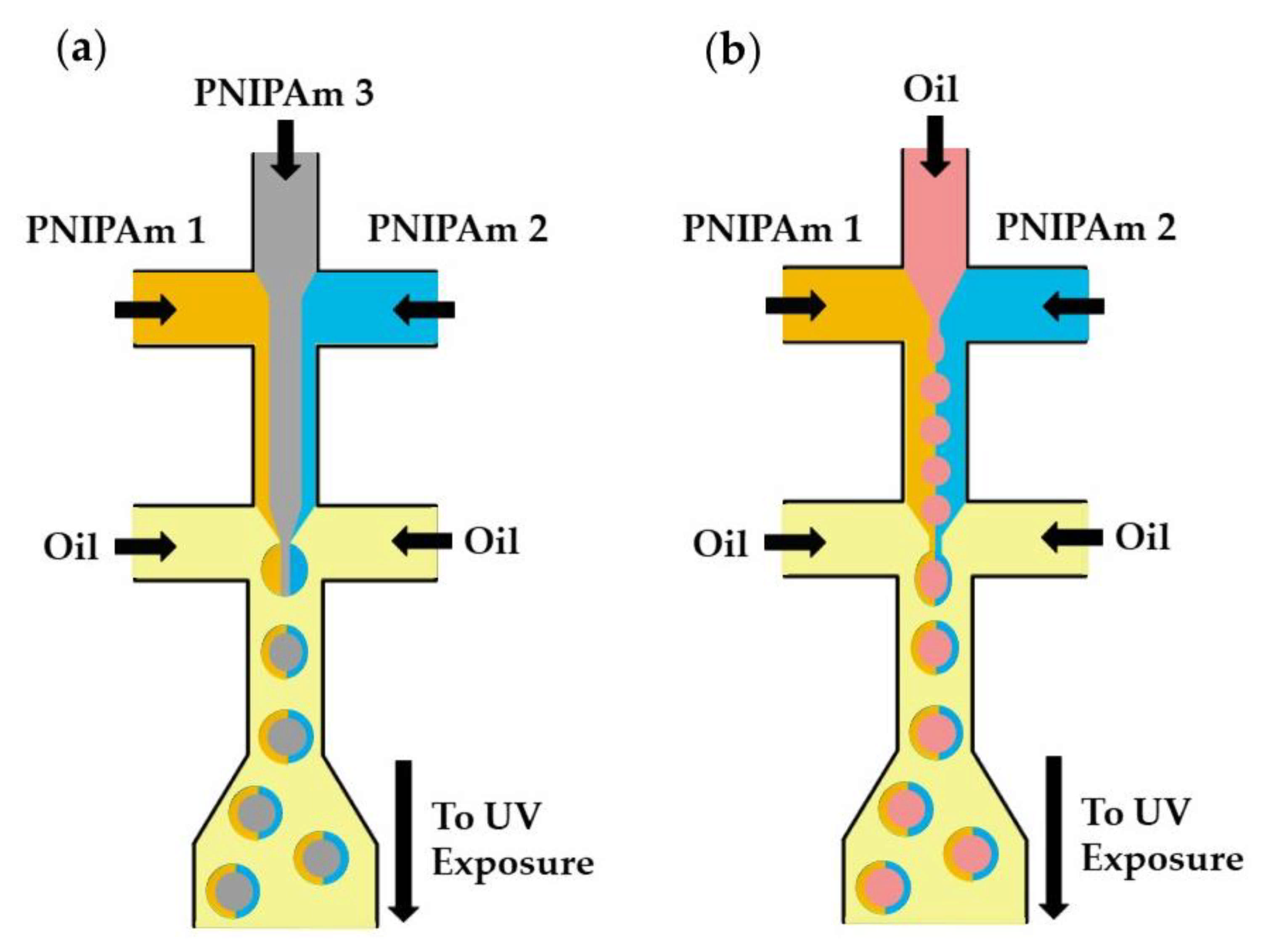 Molecules 26 03752 g032 Molecules 26 03752 g032