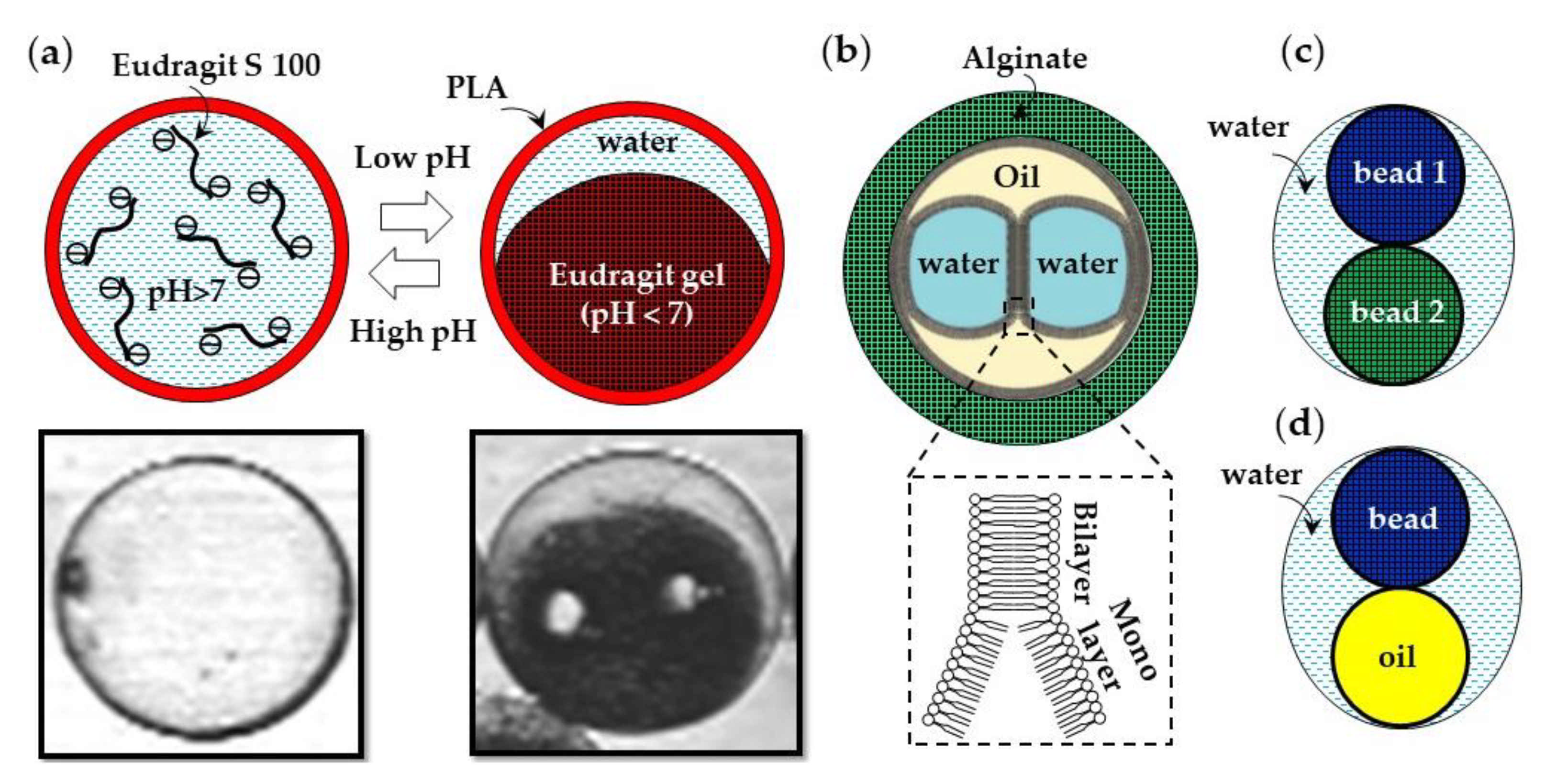Molecules 26 03752 g033 Molecules 26 03752 g033