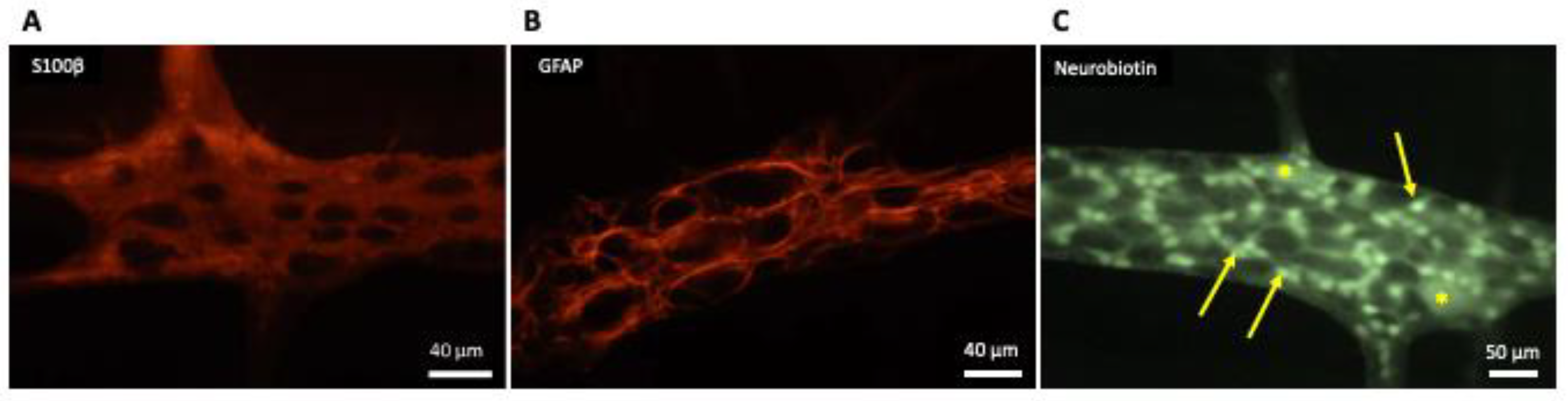 Molecules 26 03762 g001