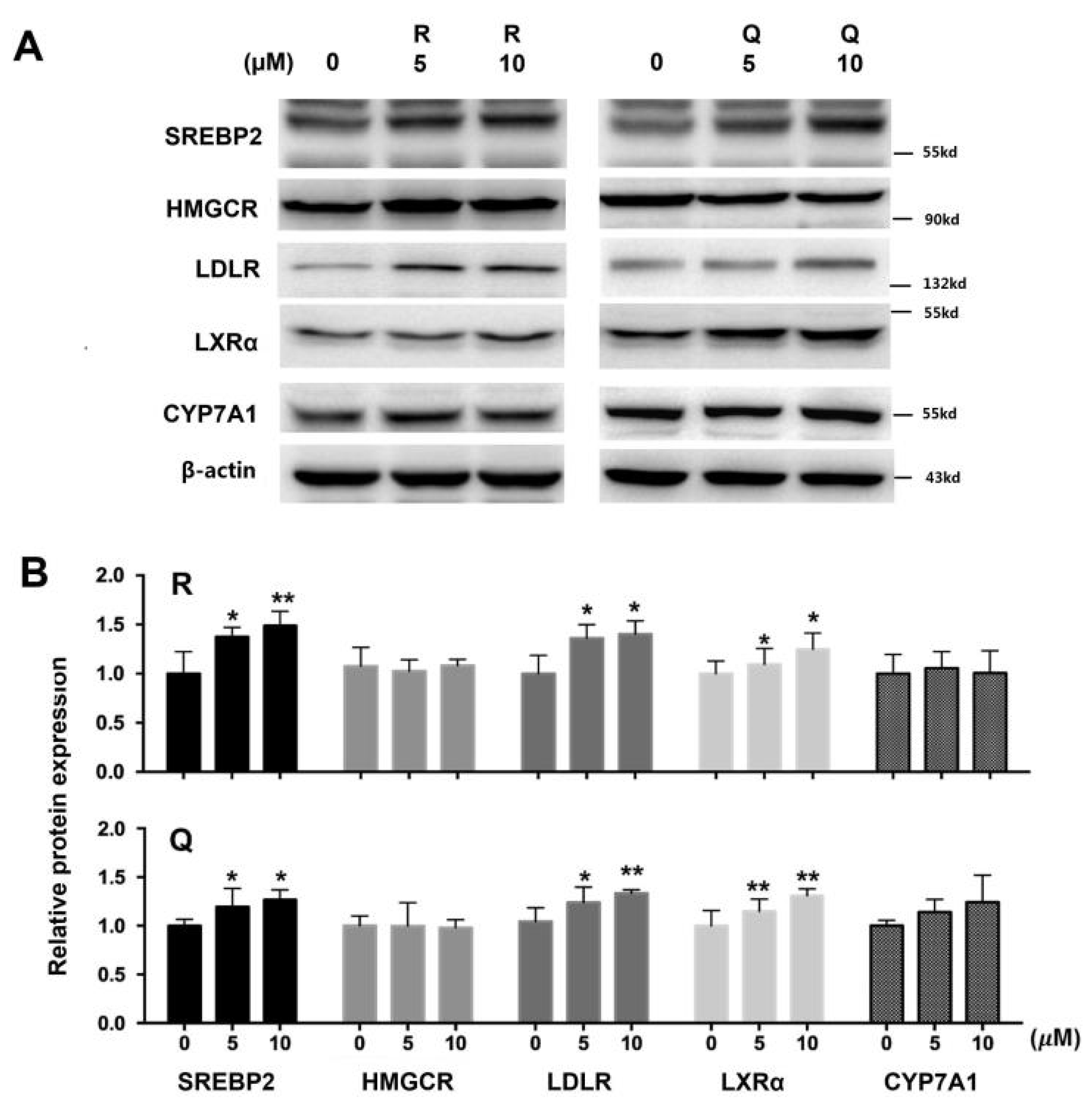 Molecules 26 03766 g004