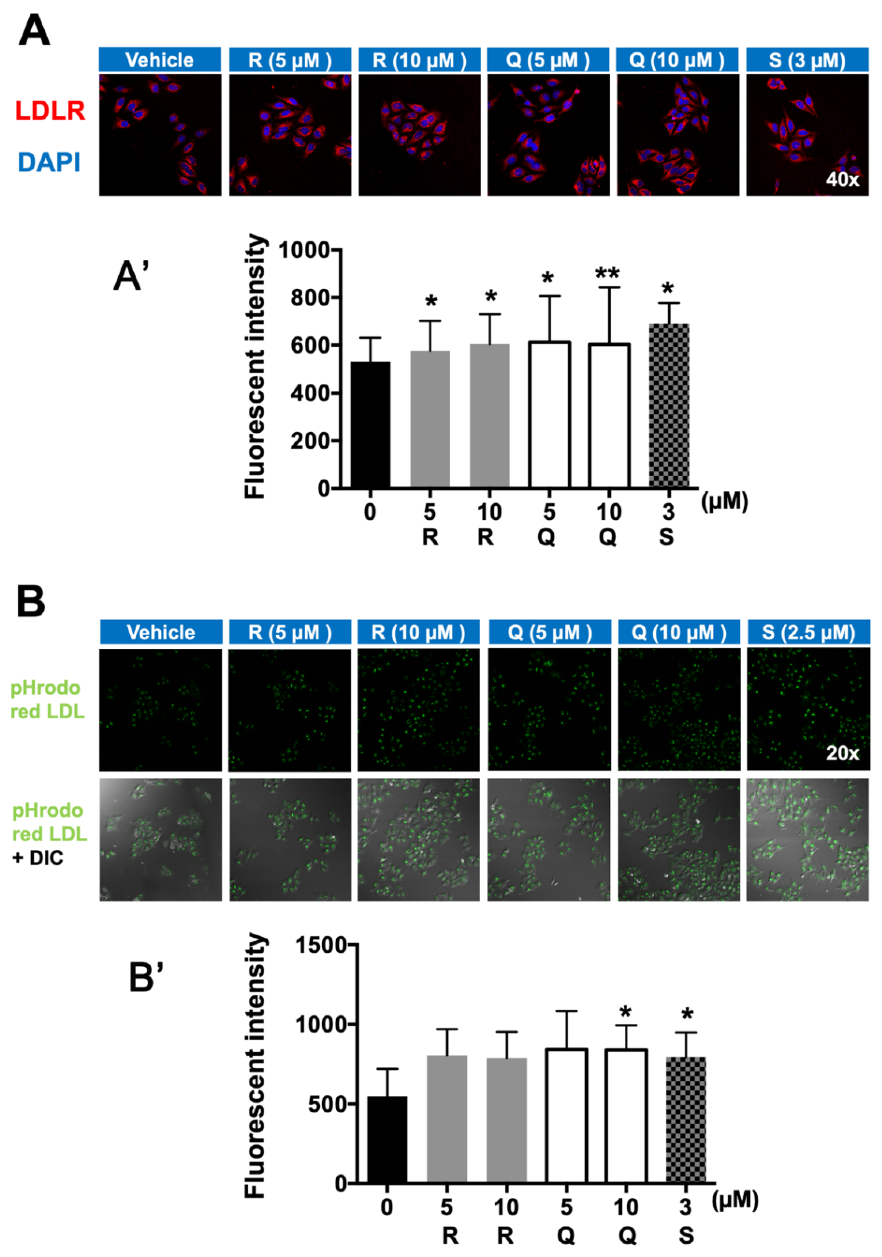 Molecules 26 03766 g005
