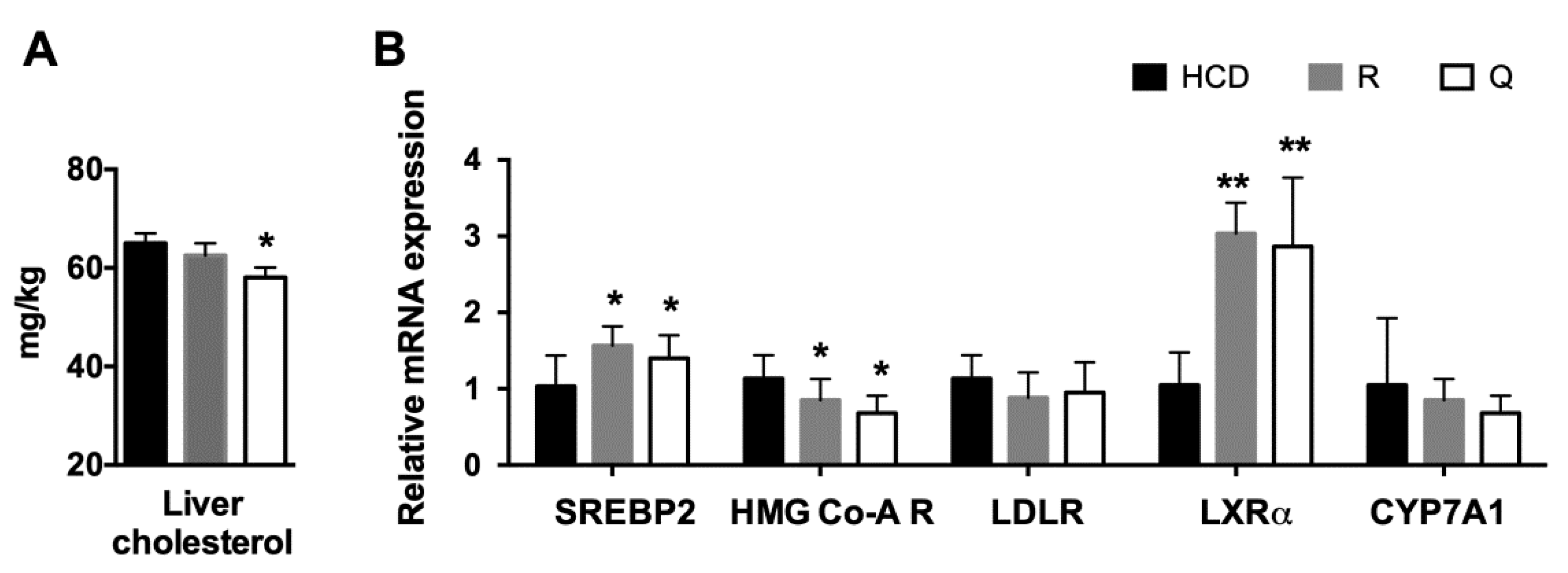 Molecules 26 03766 g006