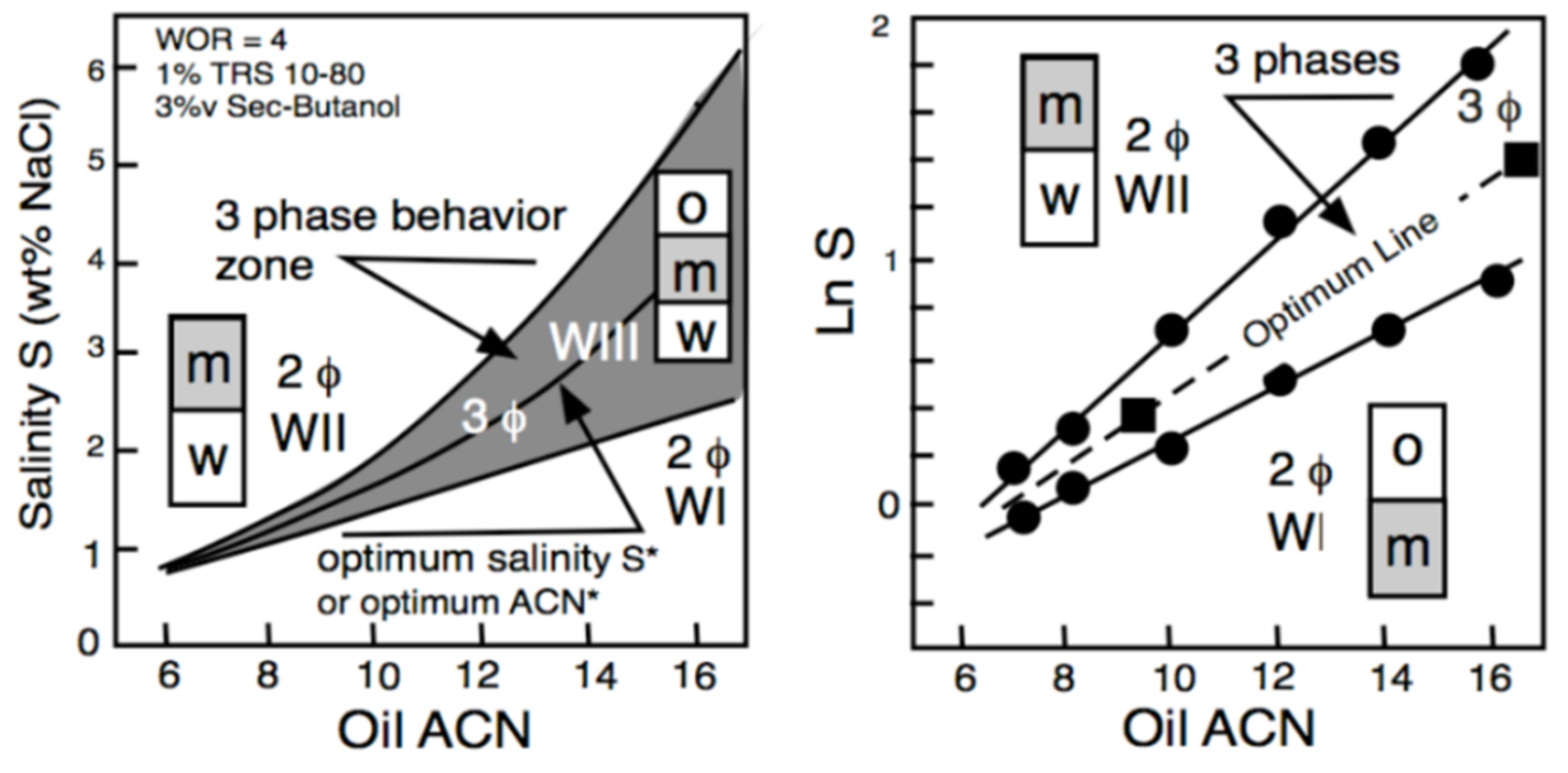 Molecules 26 03771 g004