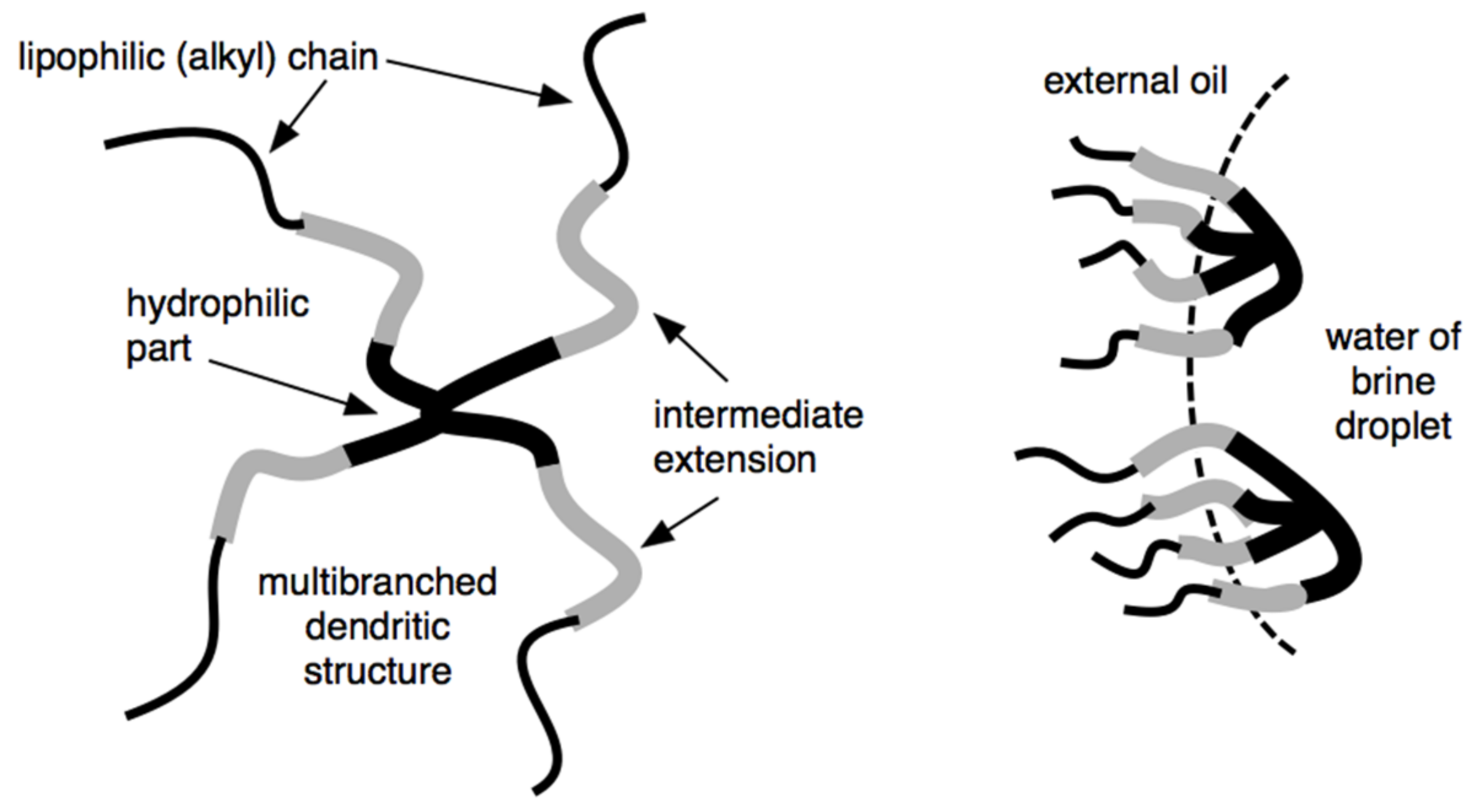 Molecules 26 03771 g008