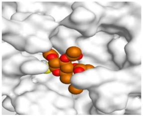 Molecules 26 03772 i006