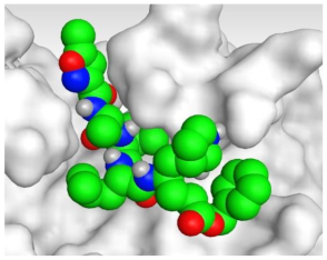 Molecules 26 03772 i008
