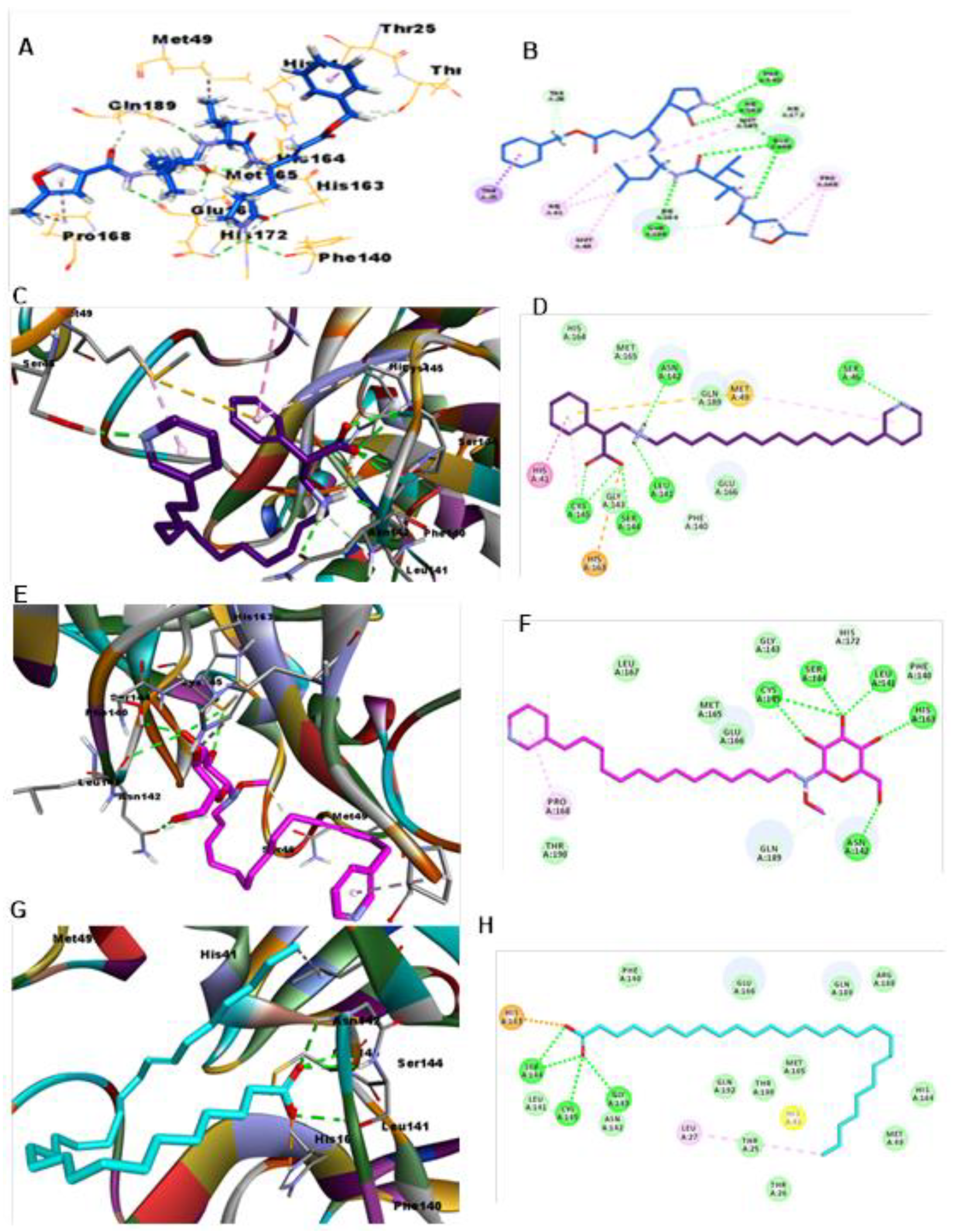 Molecules 26 03775 g006