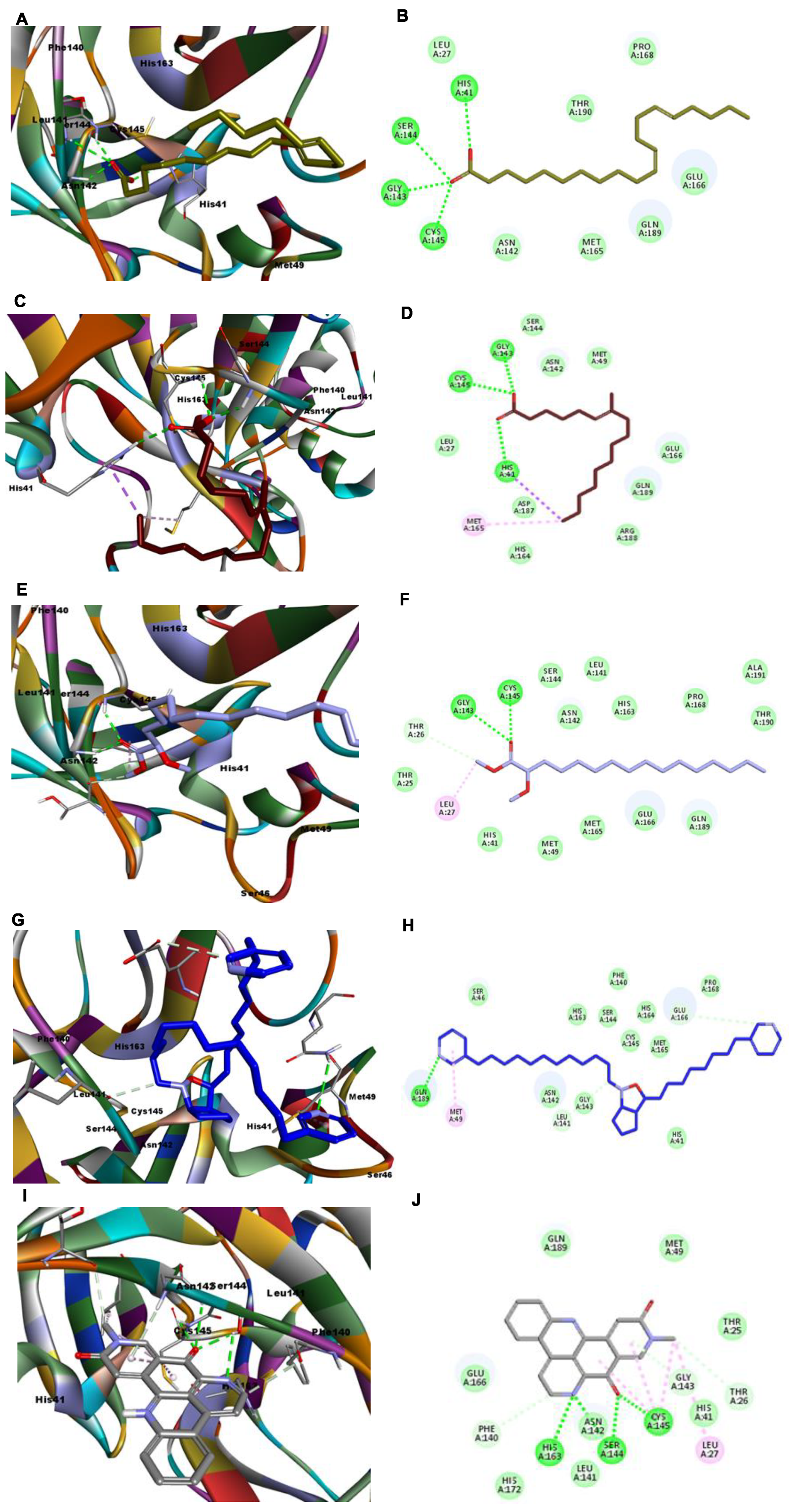 Molecules 26 03775 g007