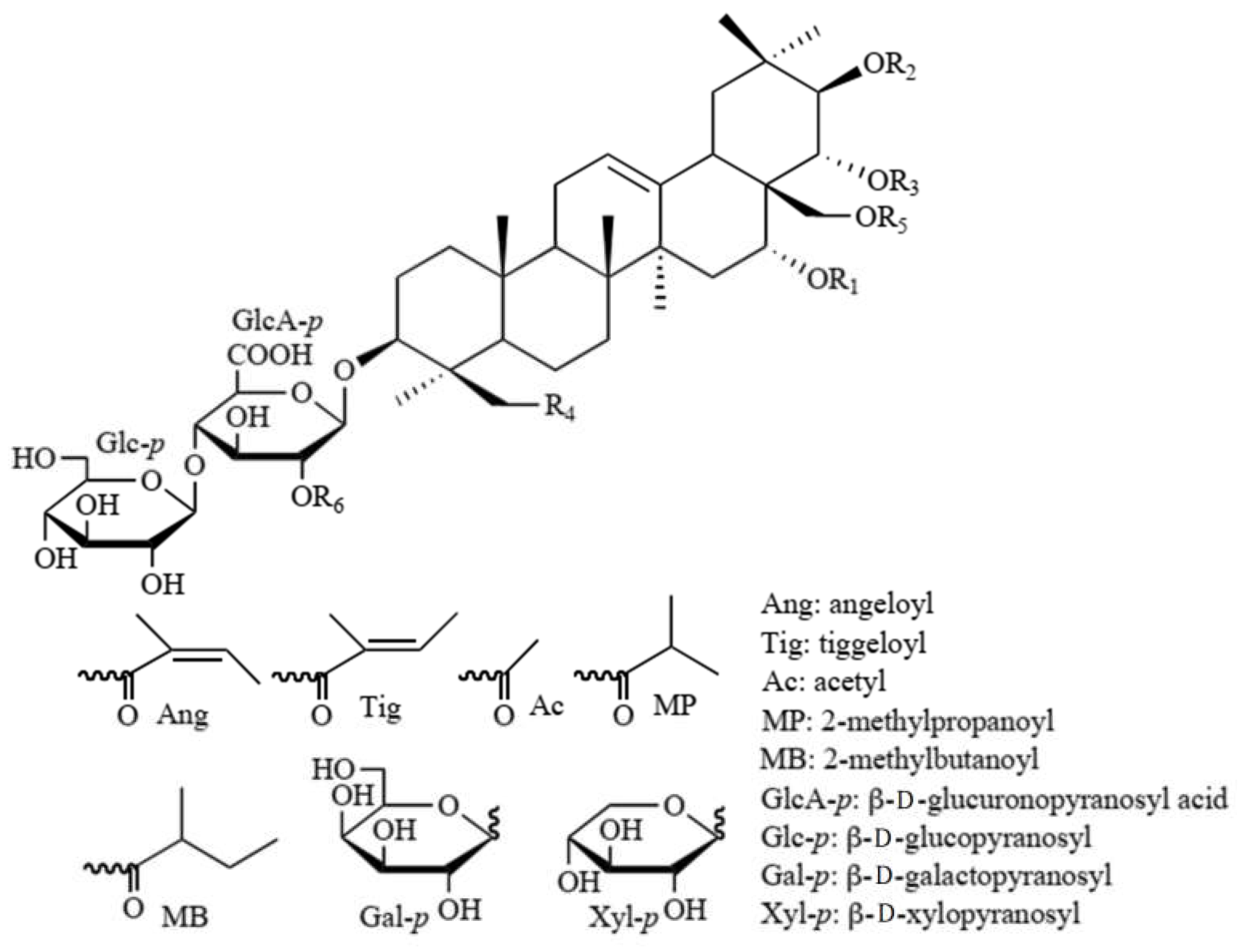Molecules 26 03784 g002