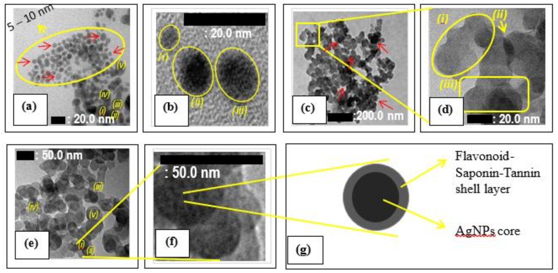 Molecules 26 03790 g002