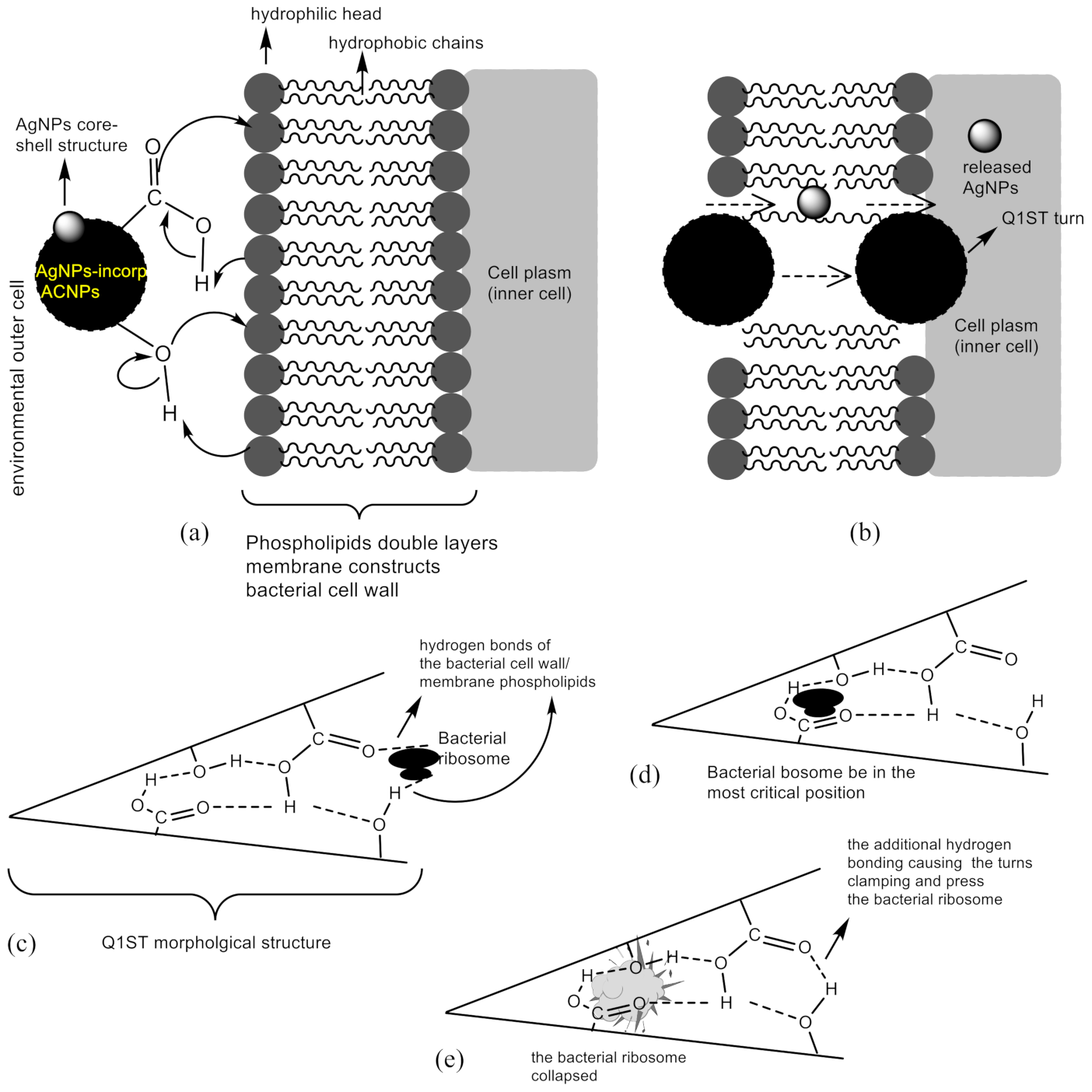 Molecules 26 03790 g003