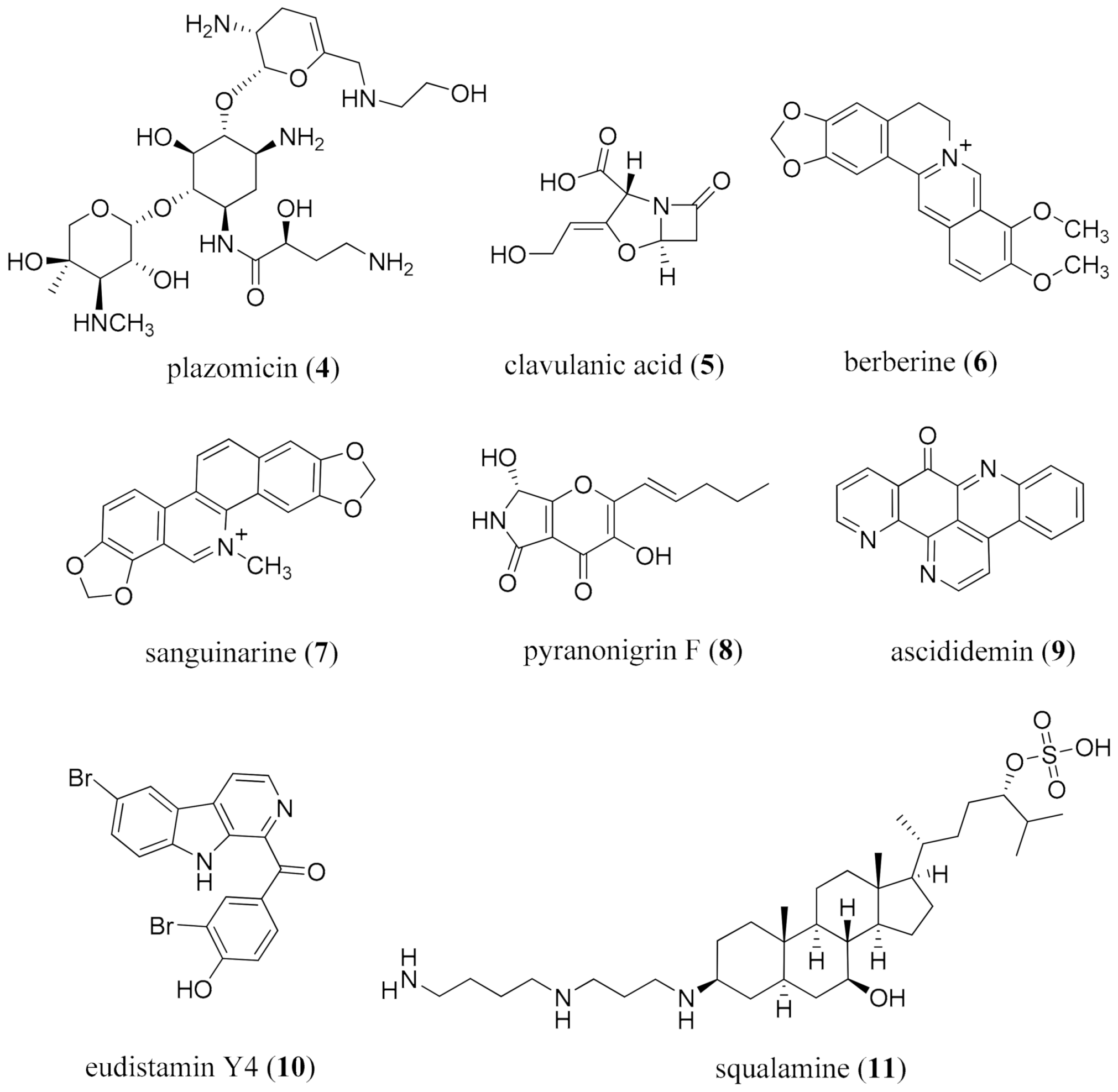 Molecules 26 03800 g002