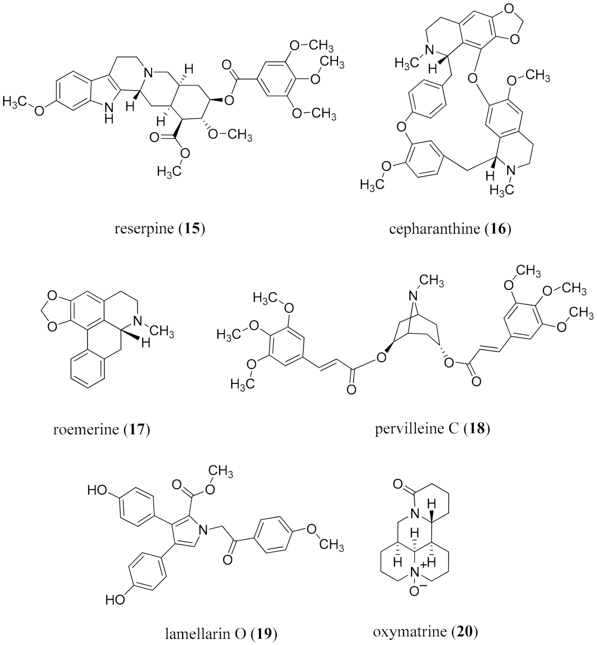 Molecules 26 03800 g004