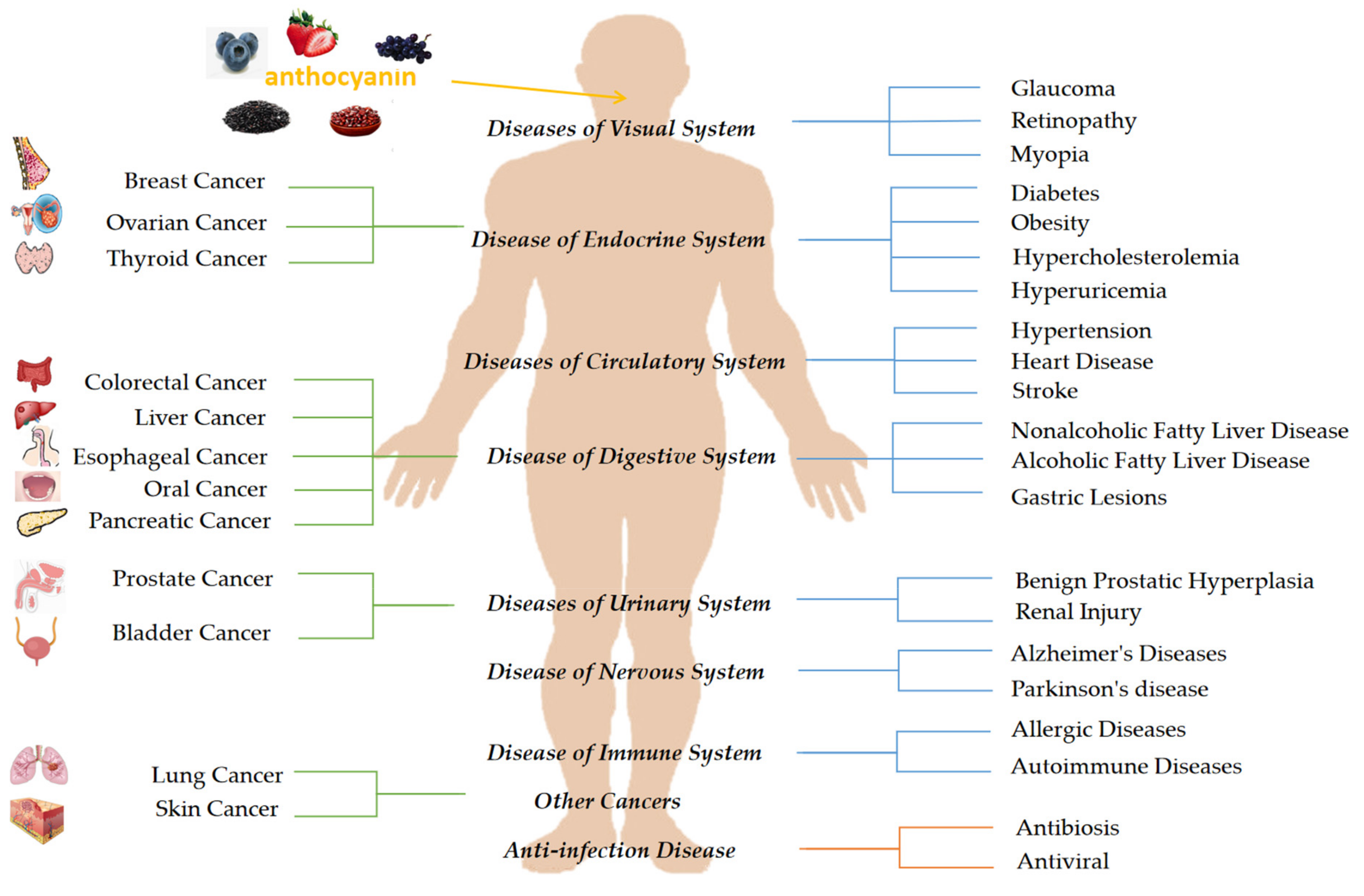 Molecules 26 03807 g001