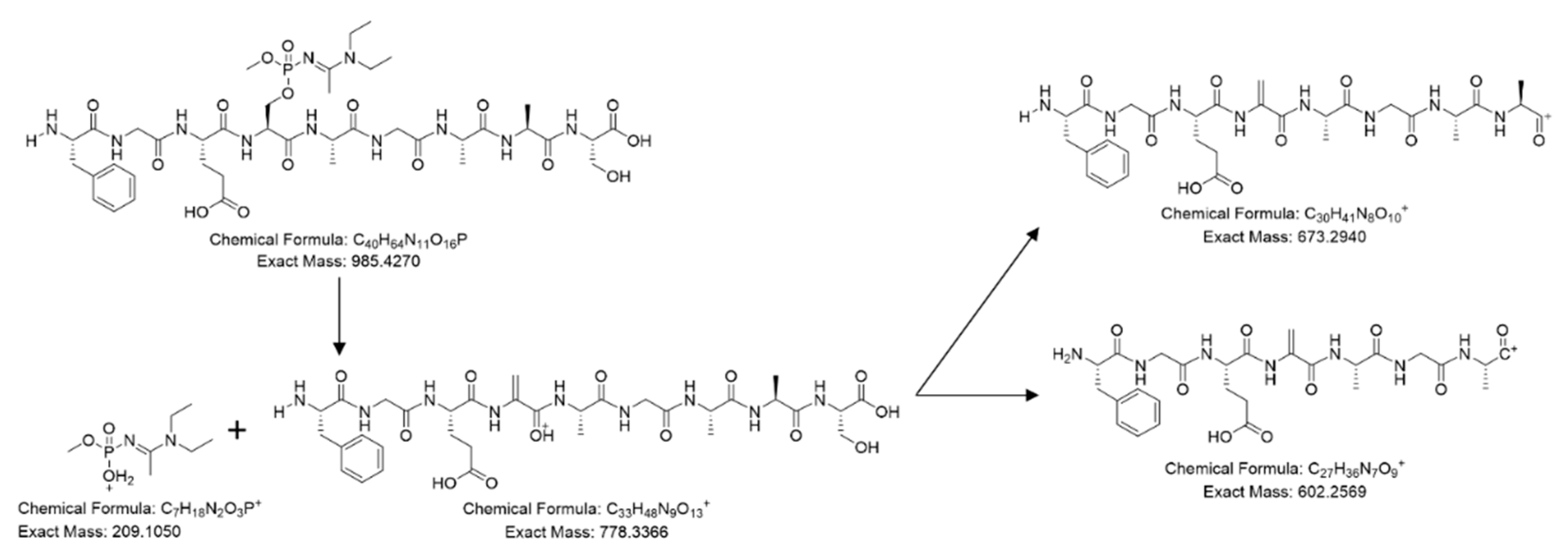 Molecules 26 03810 g004