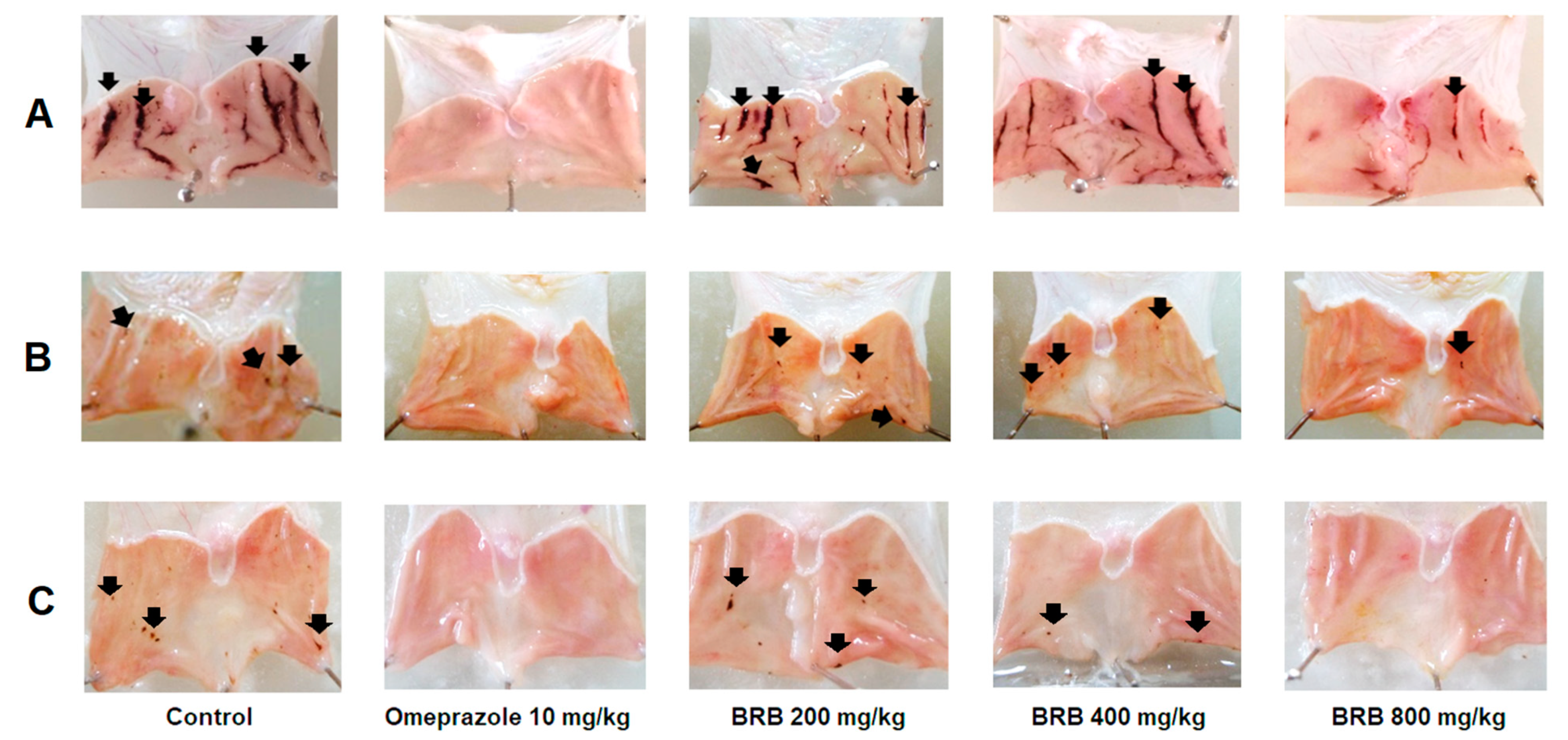 Molecules 26 03812 g002