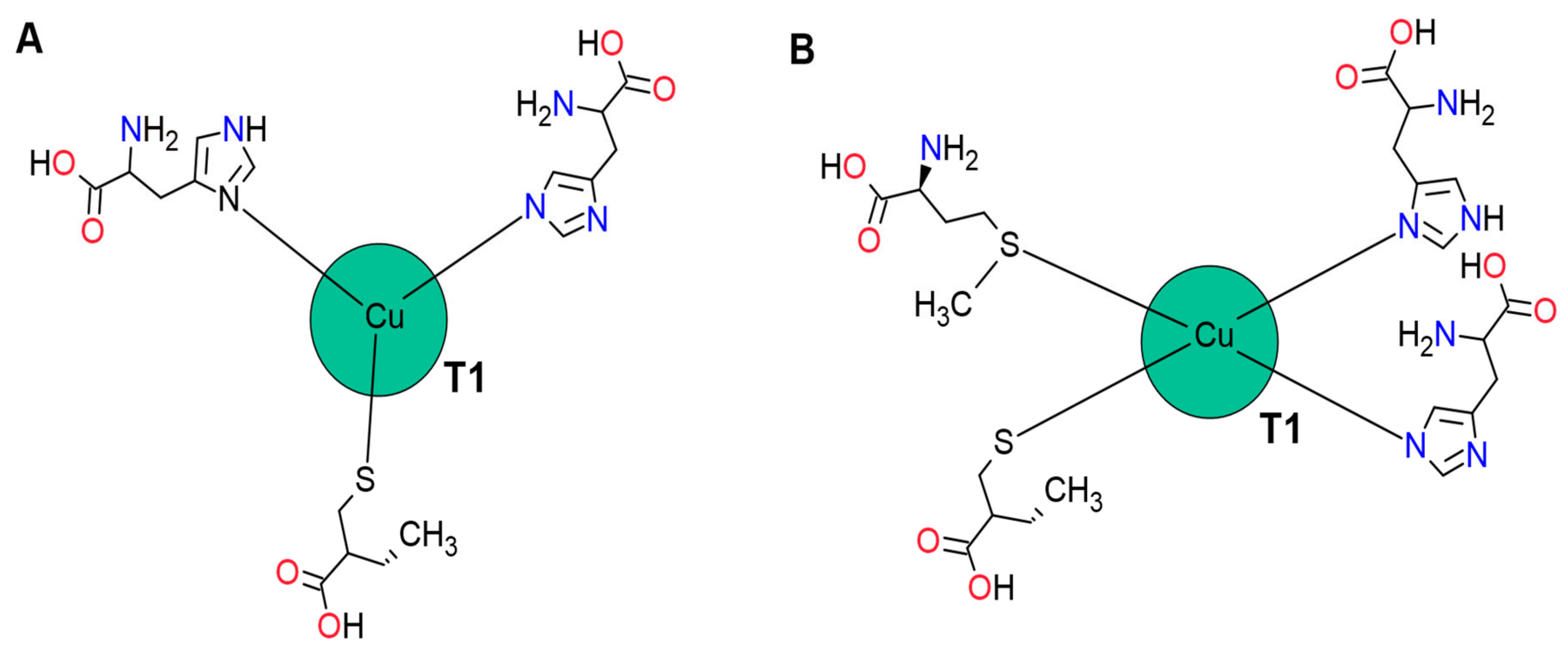 Molecules 26 03813 g002