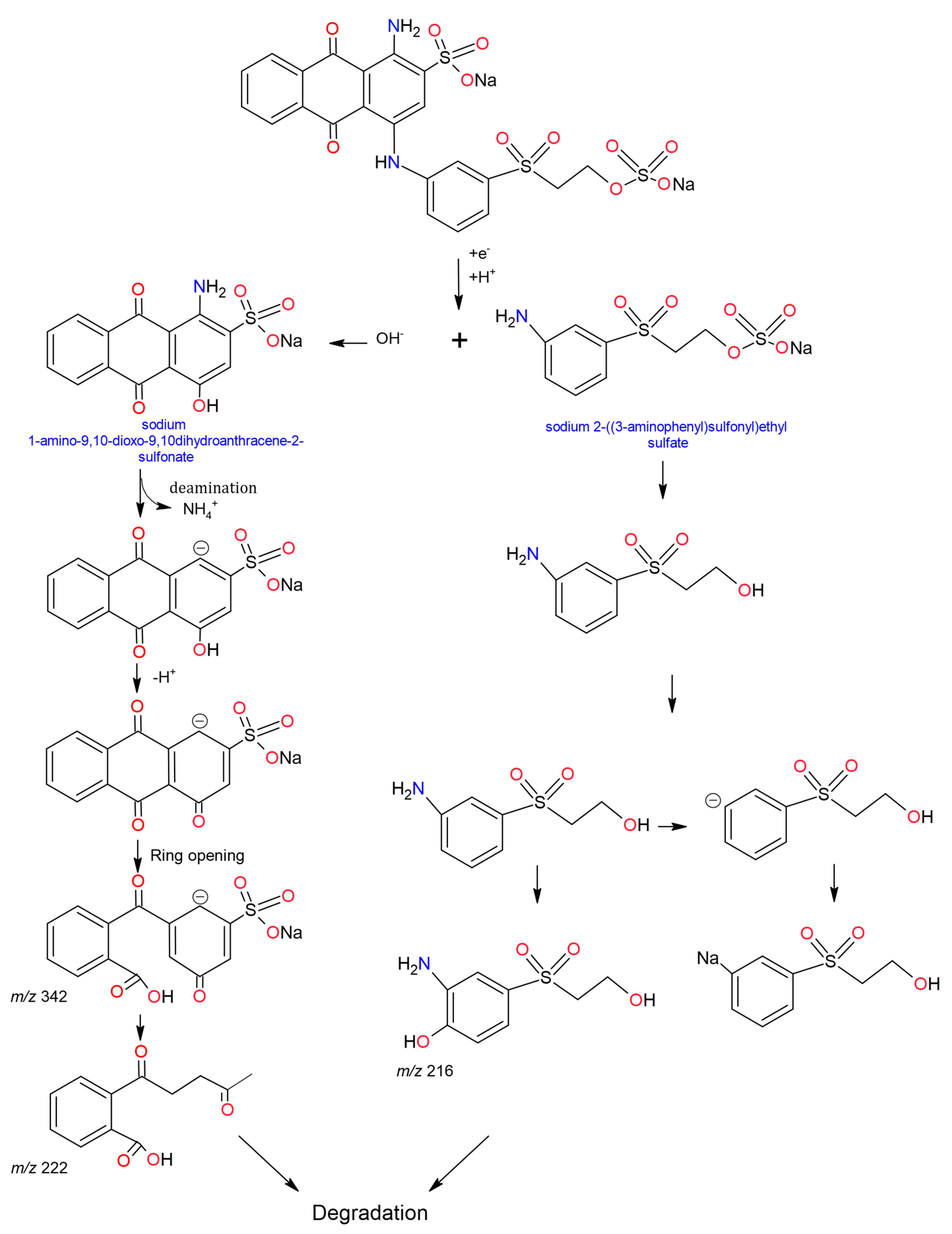 Molecules 26 03813 g005