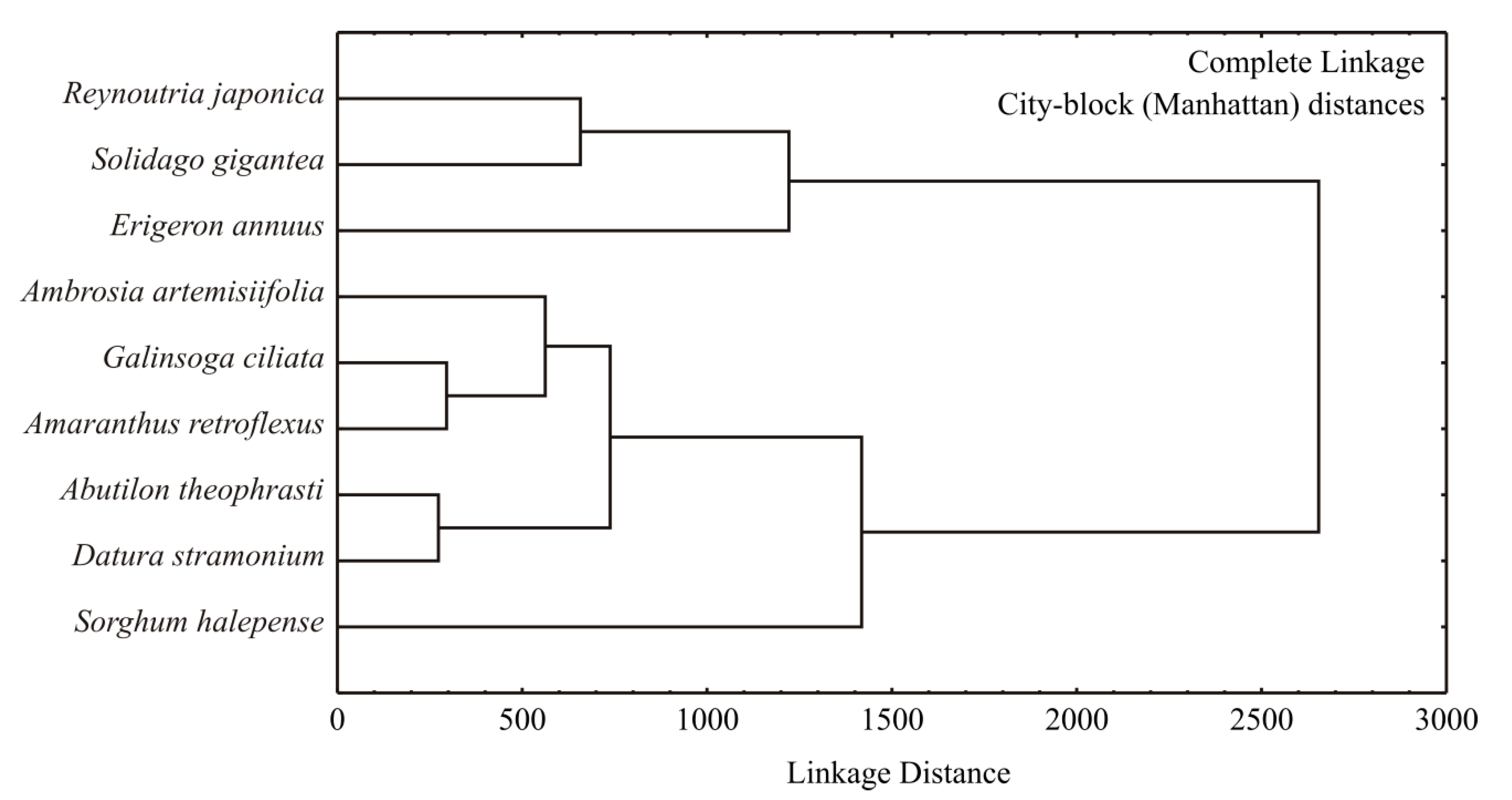 Molecules 26 03814 g004