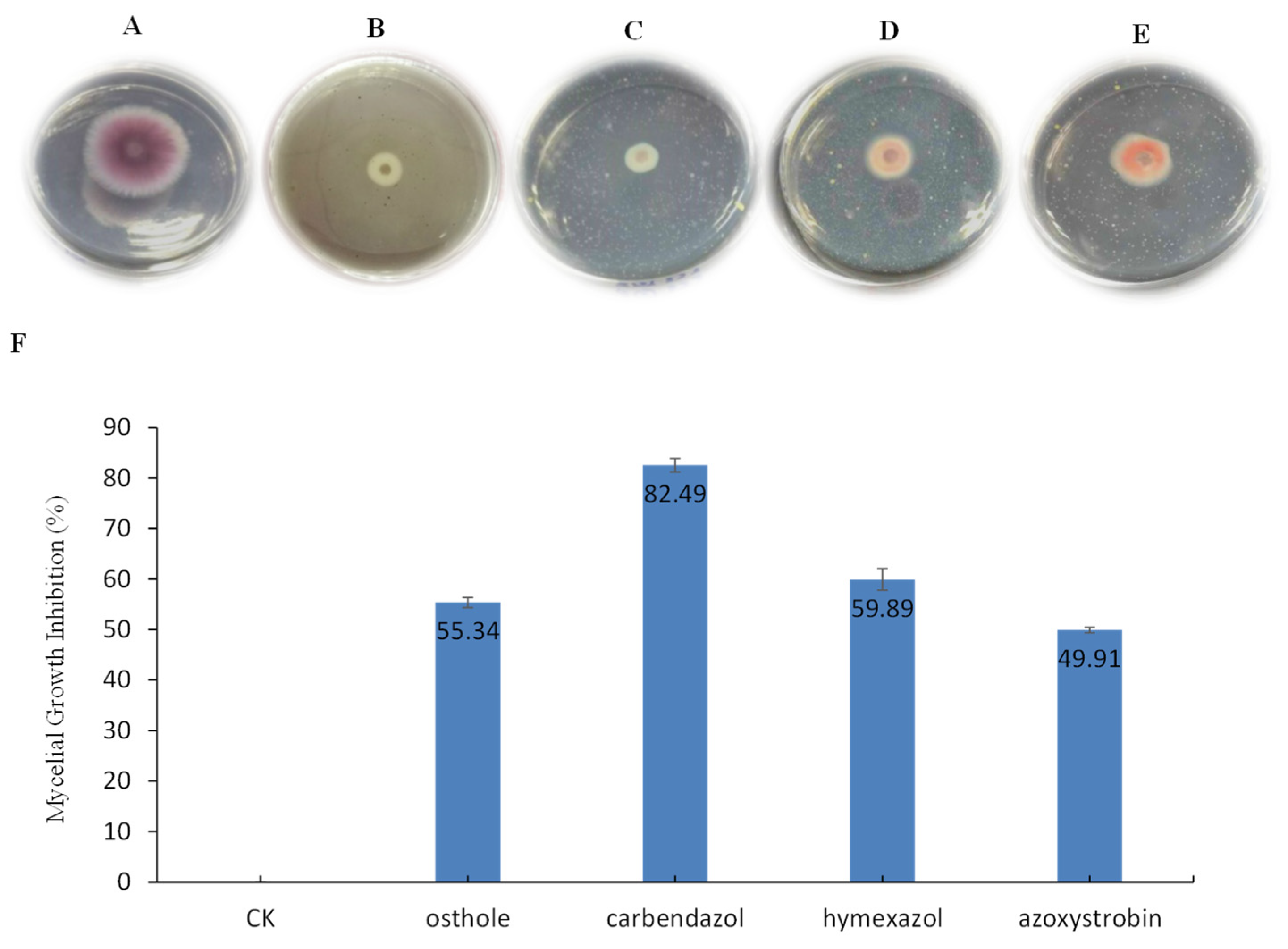Molecules 26 03818 g001