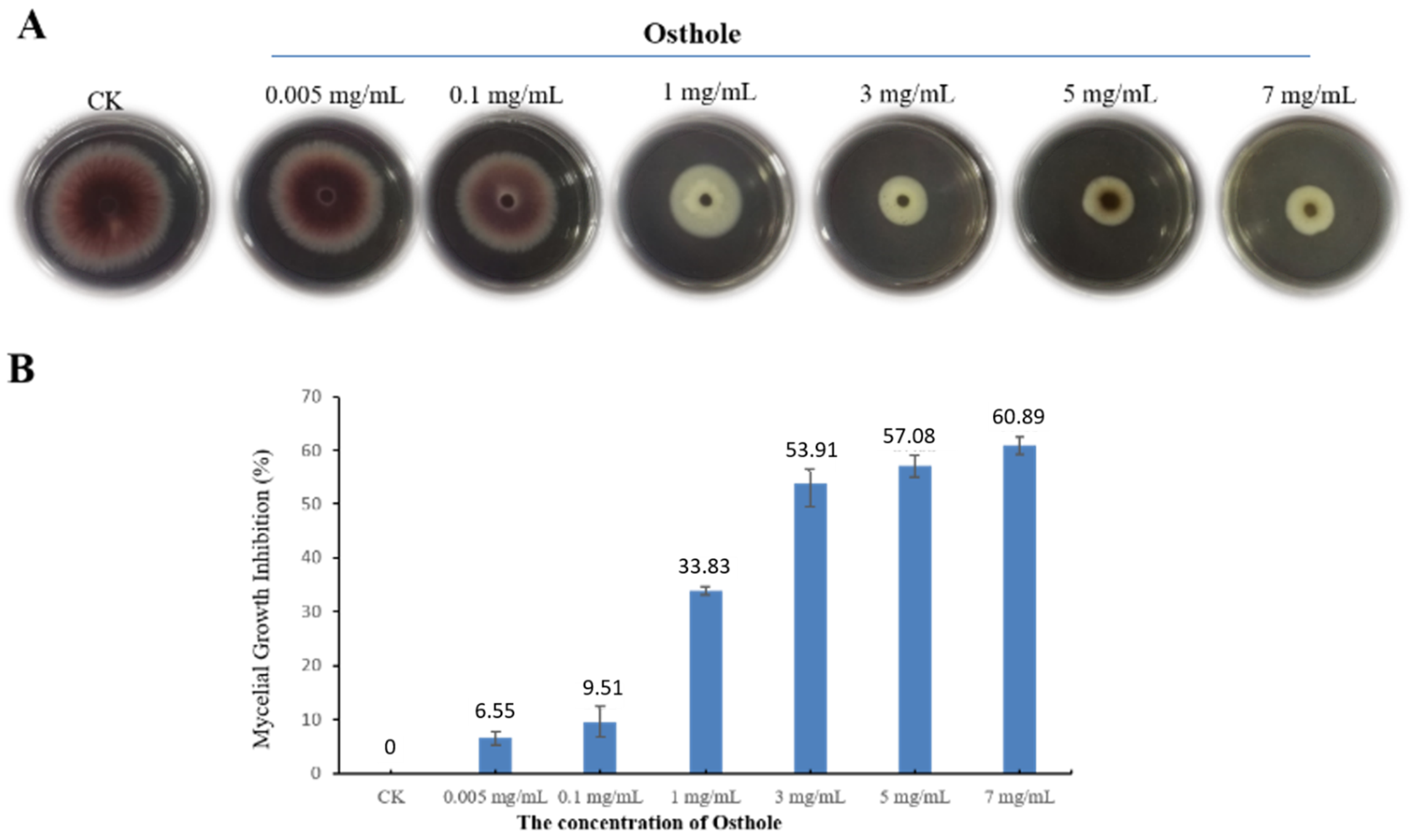 Molecules 26 03818 g002